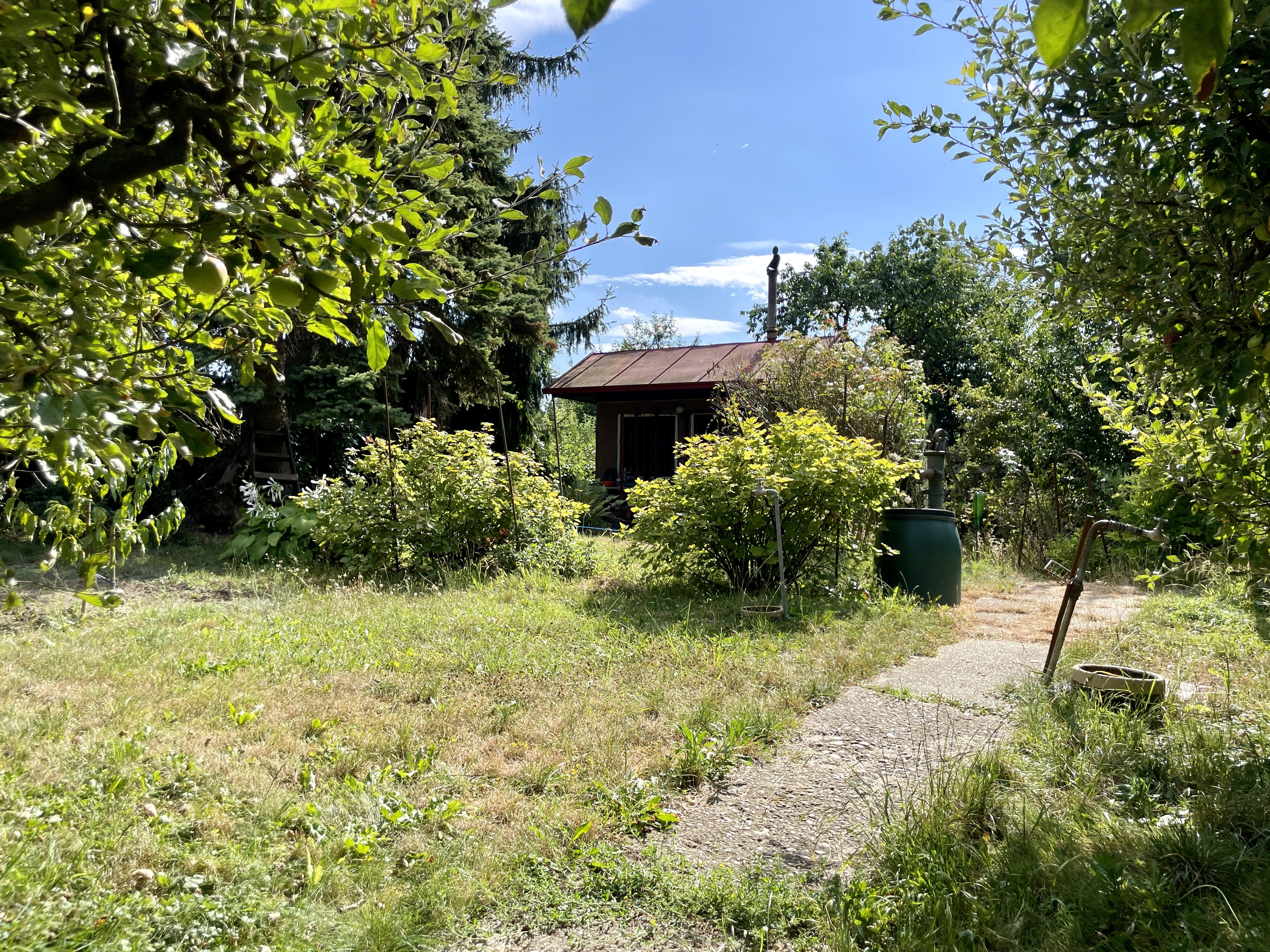 Krásna tichá záhrada s chatkou pri jazere Zlaté piesky