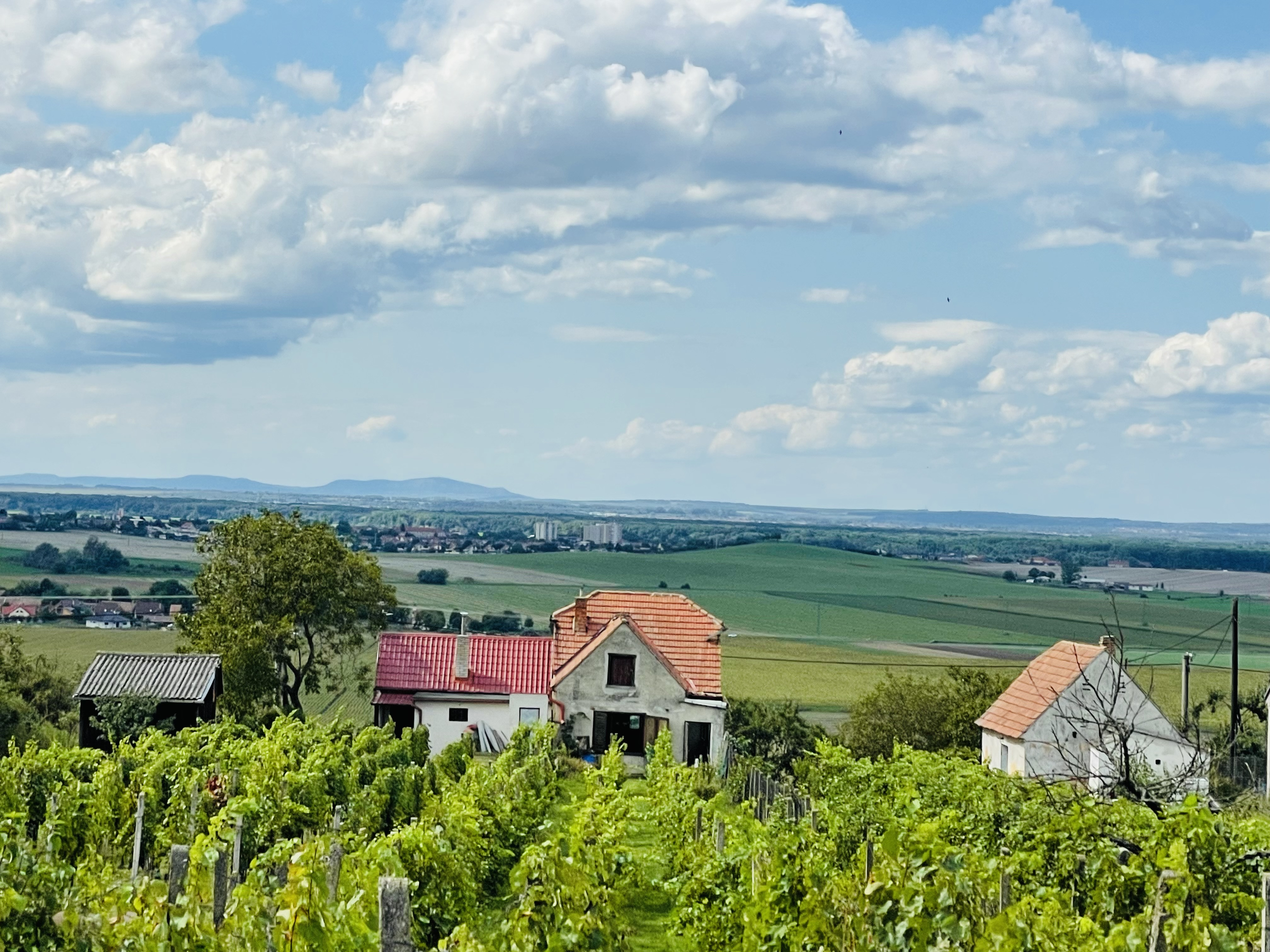 Vinohradnícky dom v obci Prietržka,okr.Skalica