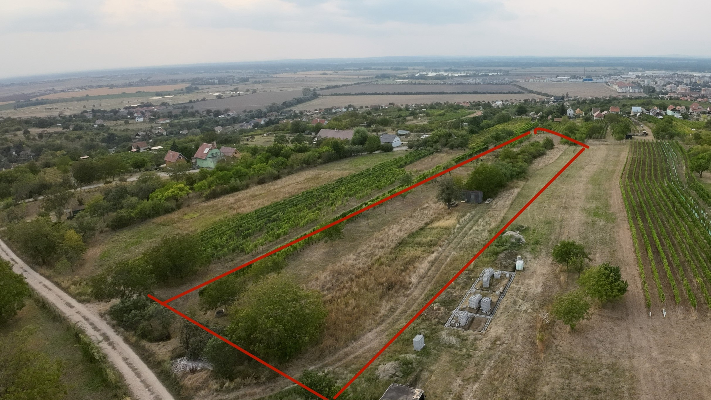 Predaj pozemku 2573 m2 na výstavbu vinohrad. domu, SKALICA.