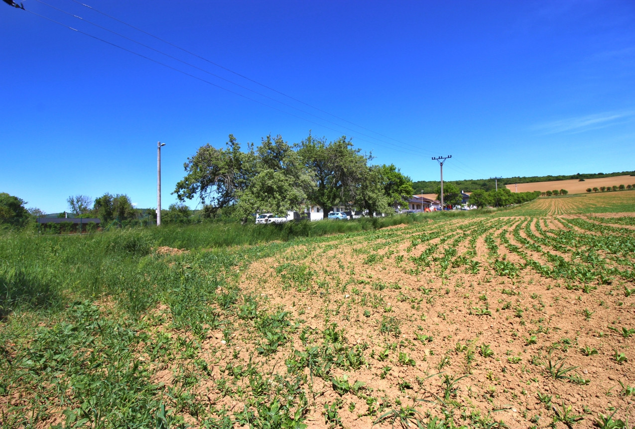 NA PREDAJ pozemok v Bošáci, možná budúca výstavba