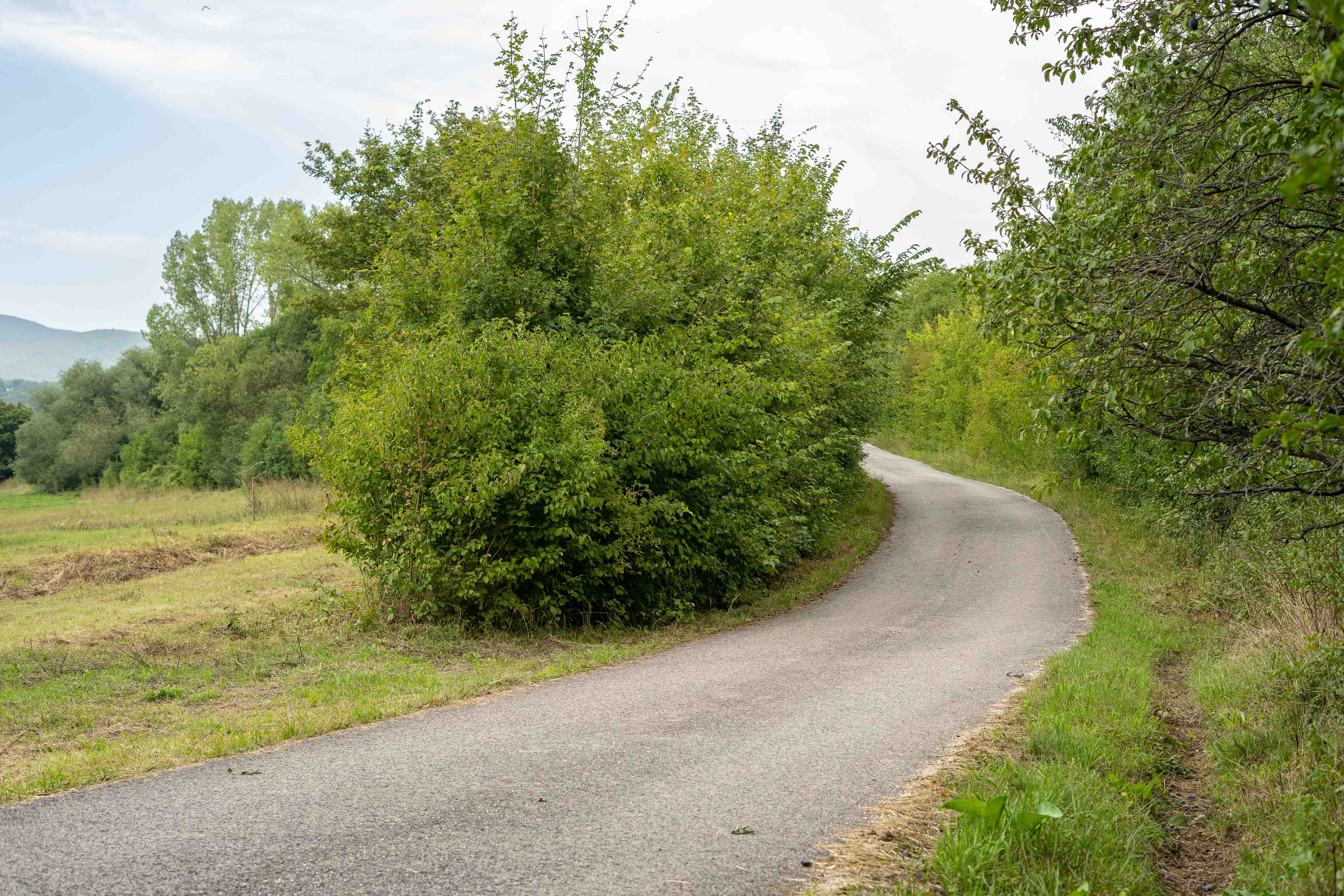 PREDAJ rovinatý pozemok na výstavbu Lubina, časť Hrnčiarové