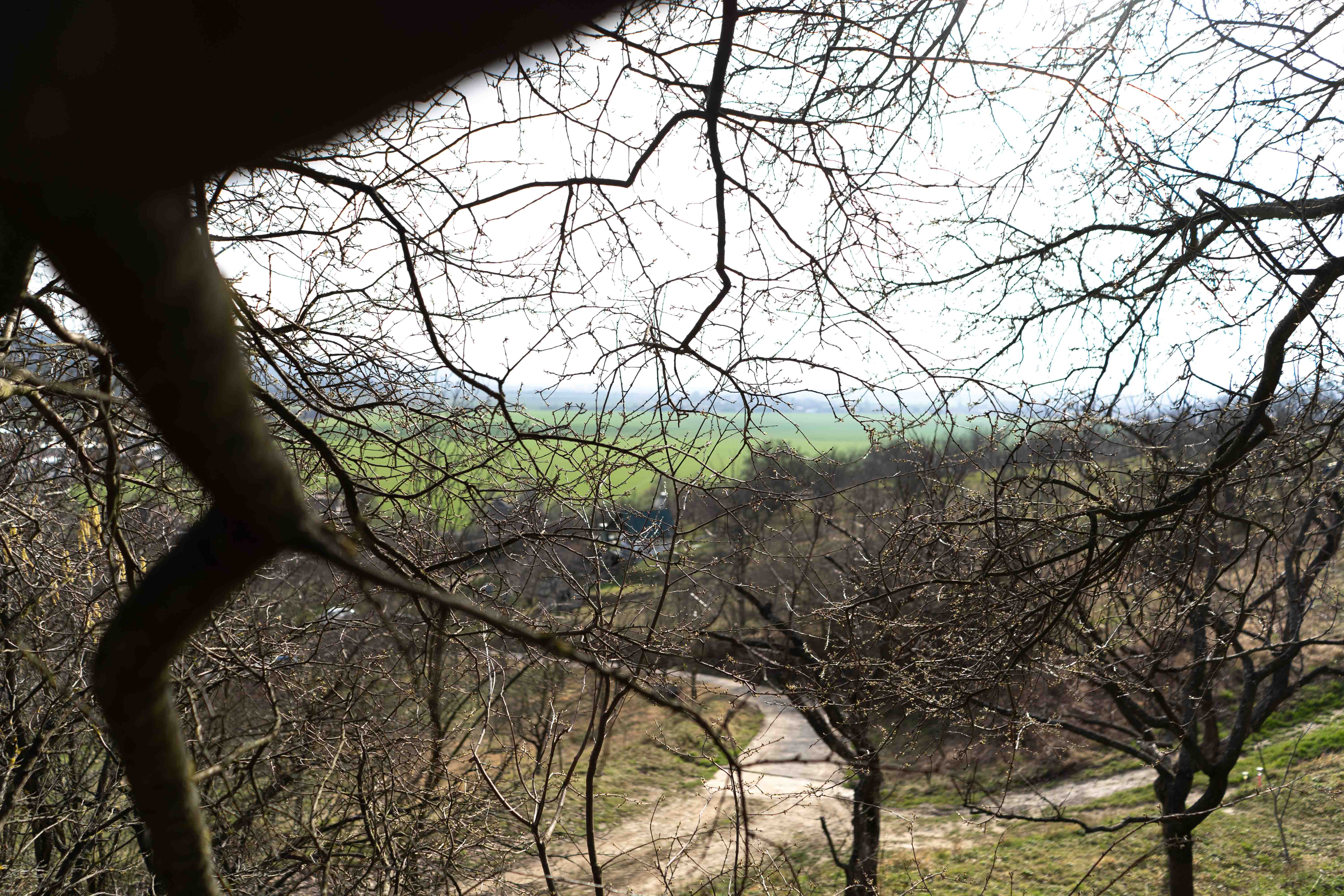 PREDAJ pozemku v Kálnici, k.ú. Beckov