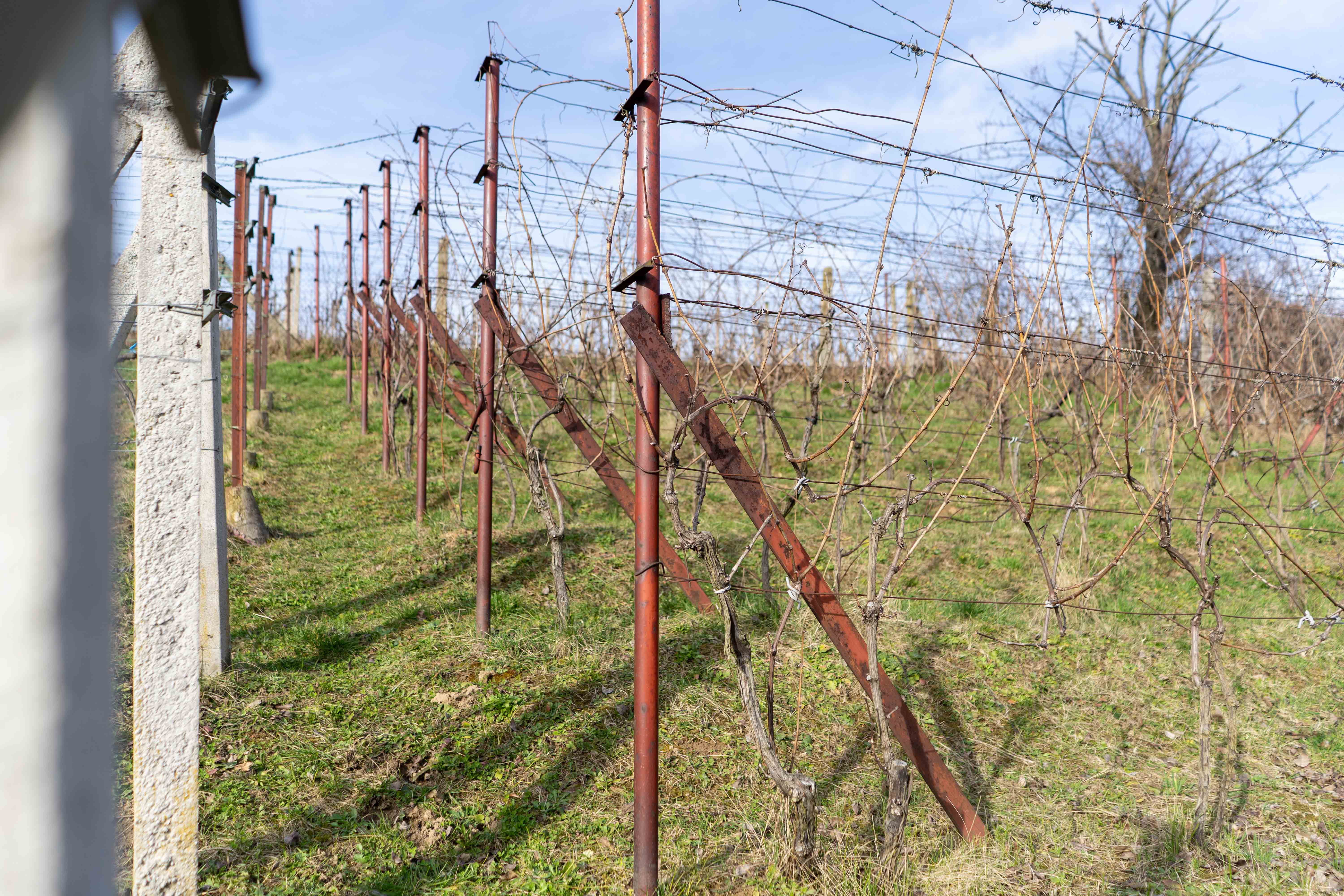 PREDAJ pozemku v Kálnici, k.ú. Beckov