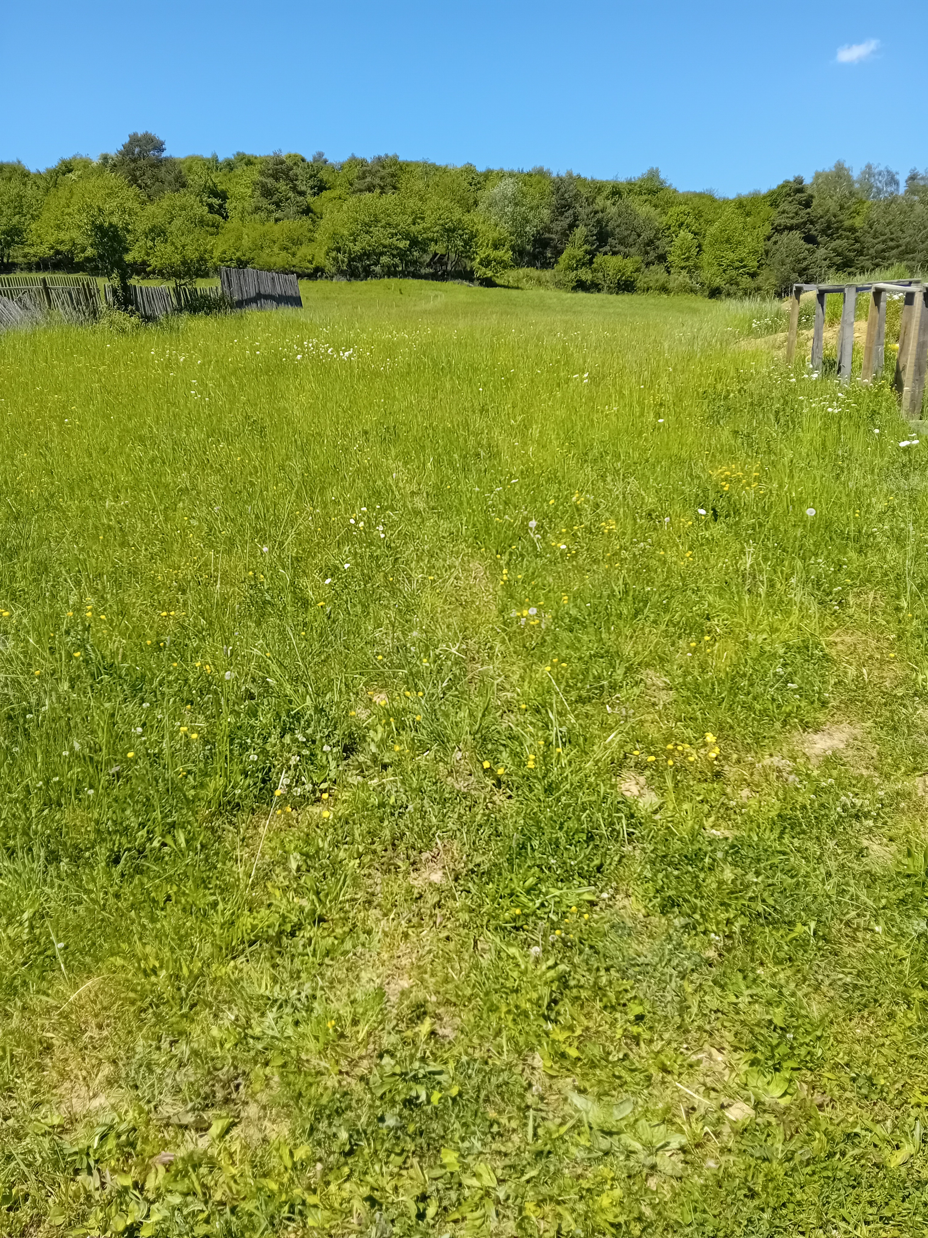 POZEMOK v obci LÚČKA na výstavbu chalupy