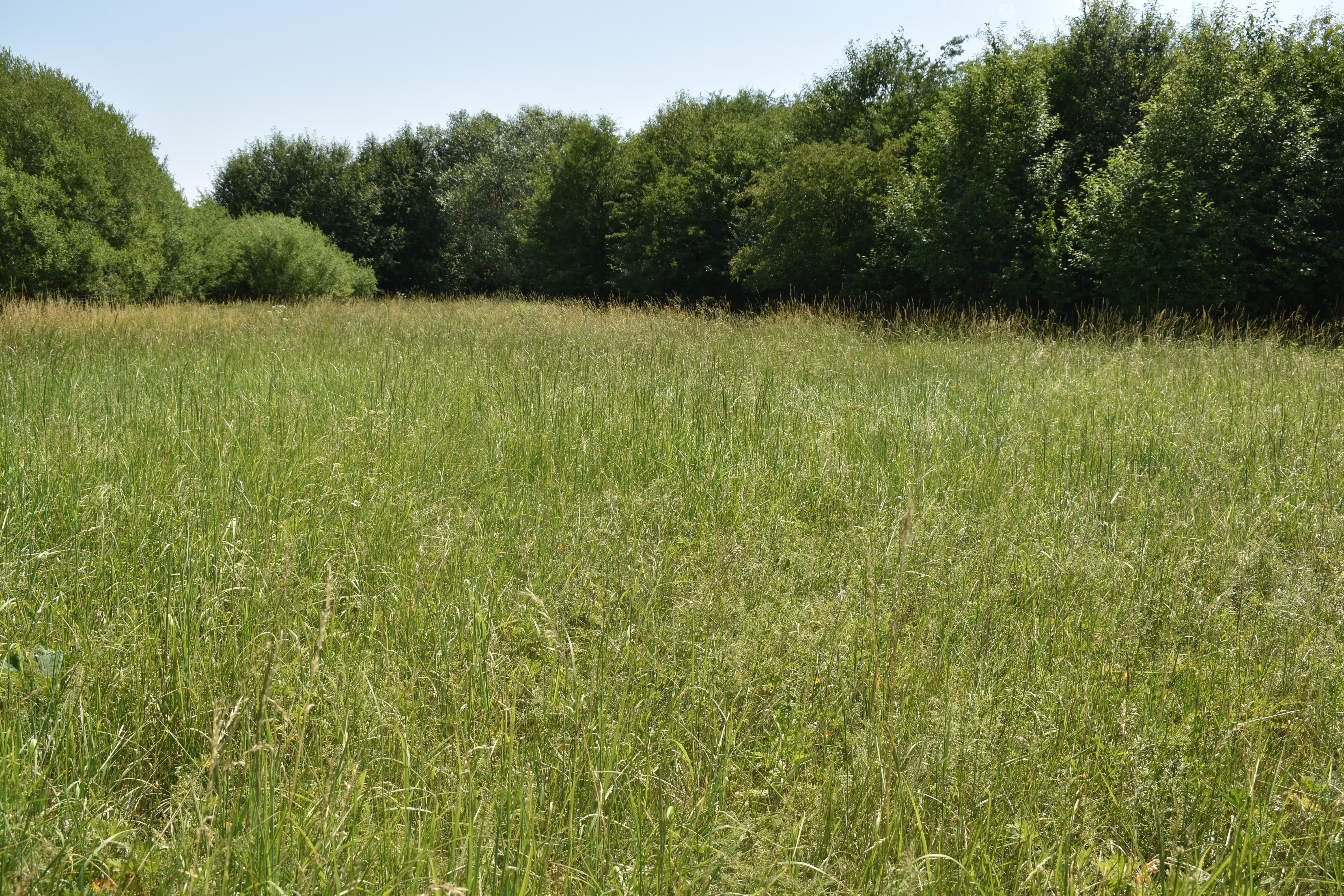 POZEMKY (5.708m2) NA PREDAJ v meste Spišská Nová Ves