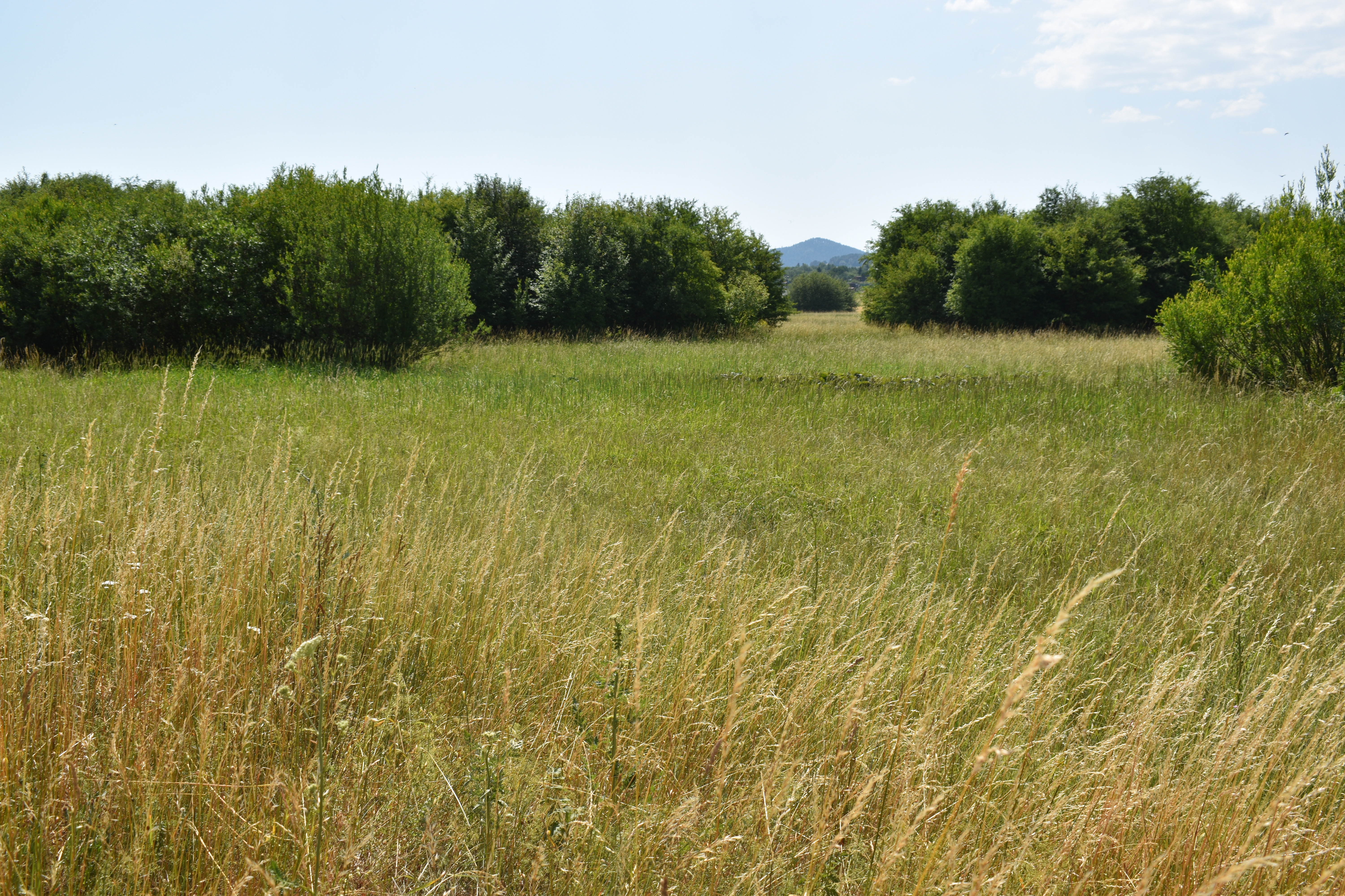 POZEMKY (5.708m2) NA PREDAJ v meste Spišská Nová Ves