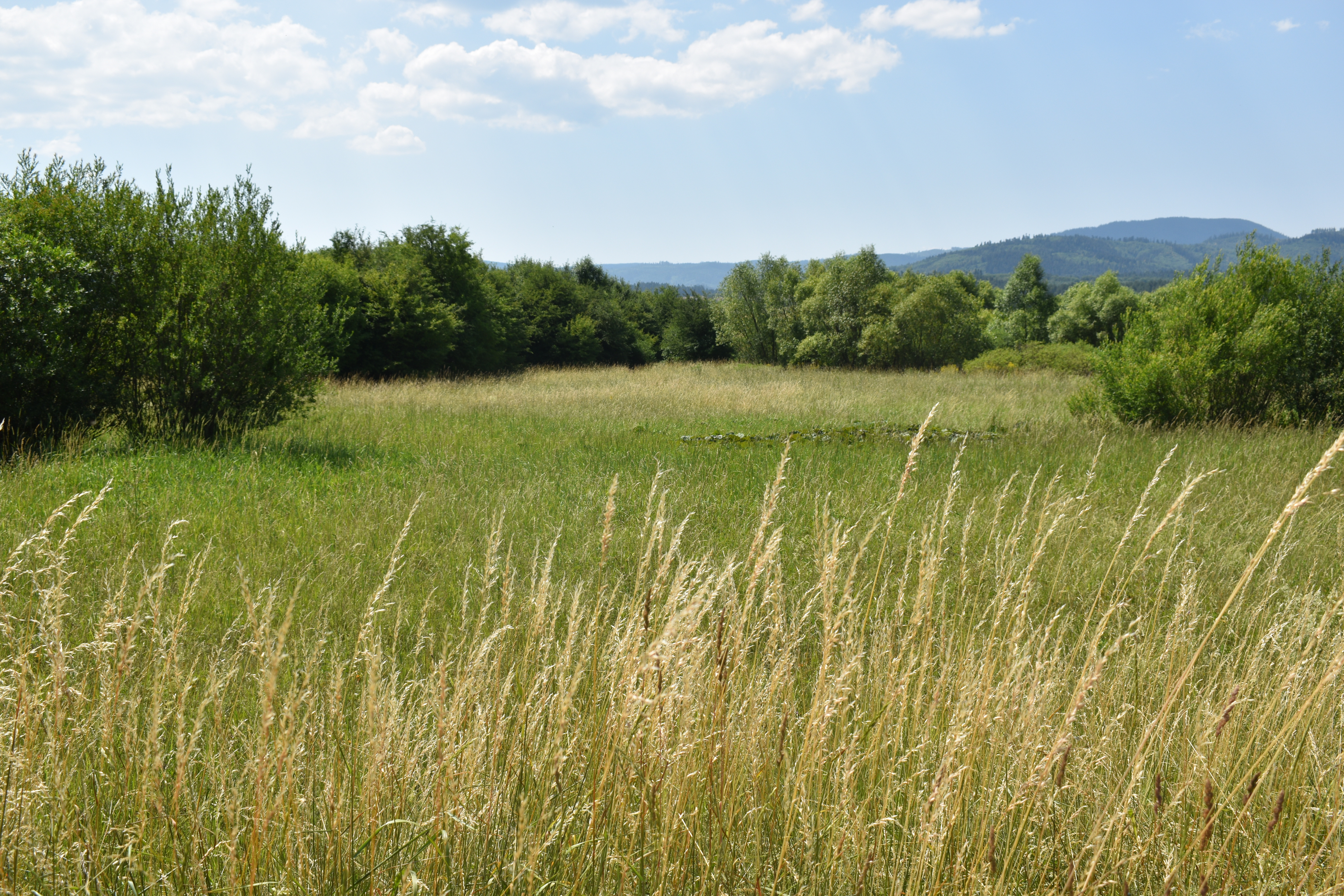 POZEMKY (5.708m2) NA PREDAJ v meste Spišská Nová Ves