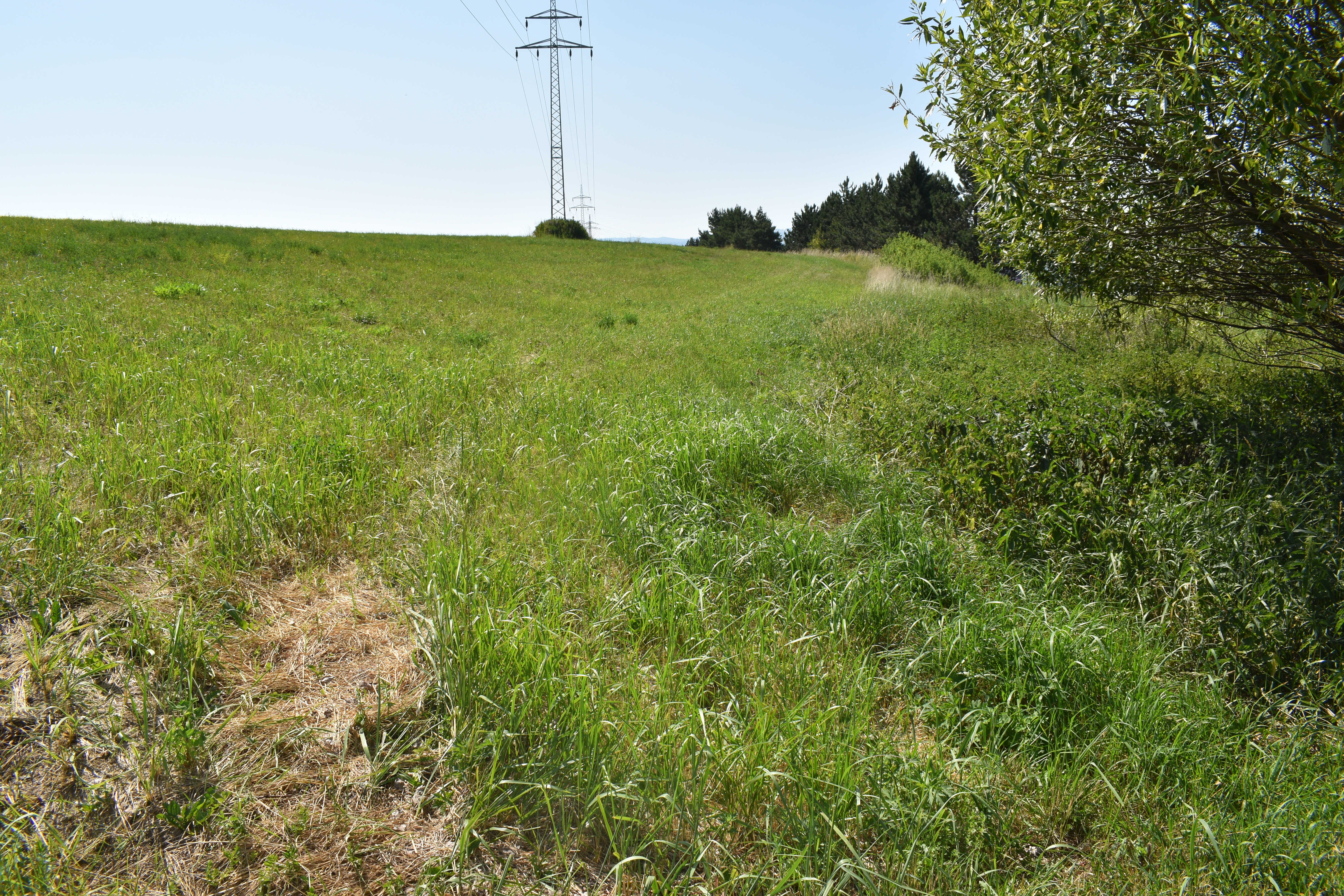 POZEMOK (1.889 m2) NA PREDAJ v meste Spišská Nová Ves