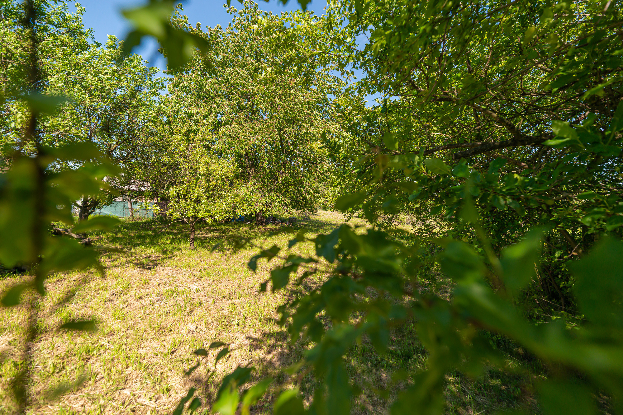 PREDAJ - pozemok vhodný na výstavbu - Klobušice, Ilava