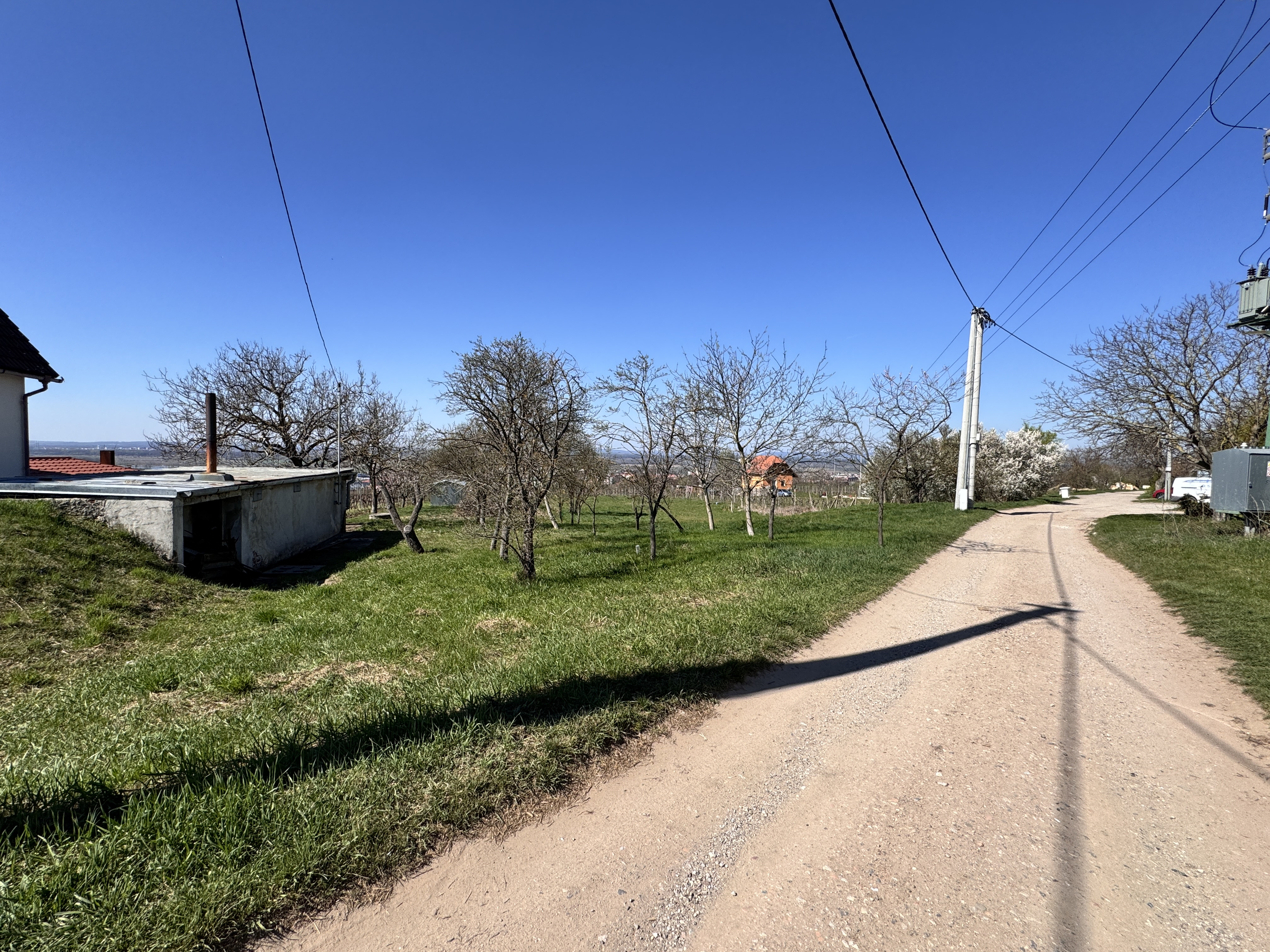 Pozemok s nádherným výhľadom na Skalicu – vinohrad s vínnym sklepom, presovňou, ovocnými stromami a možnosťou výstavby.