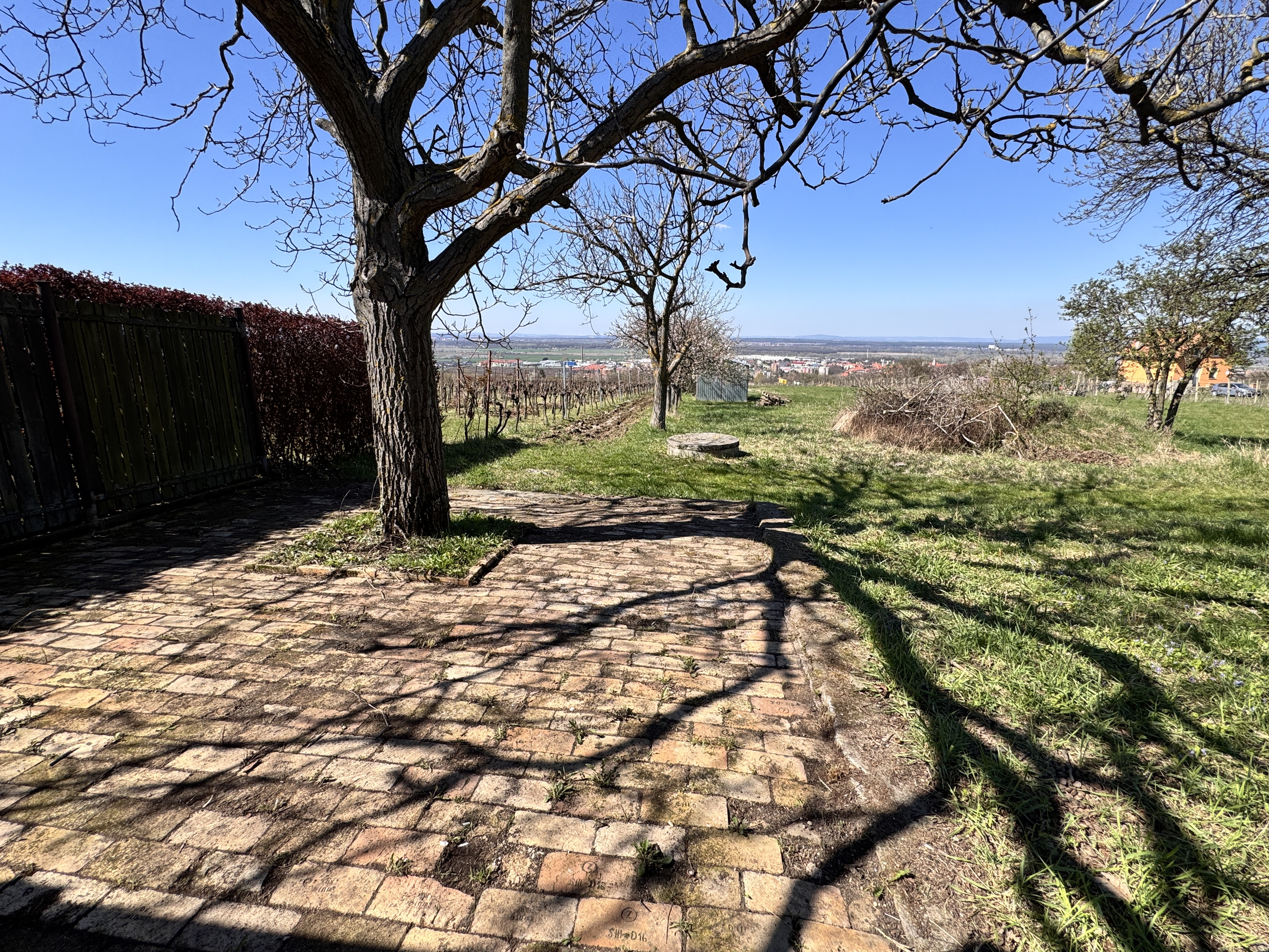 Pozemok s nádherným výhľadom na Skalicu – vinohrad s vínnym sklepom, presovňou, ovocnými stromami a možnosťou výstavby.