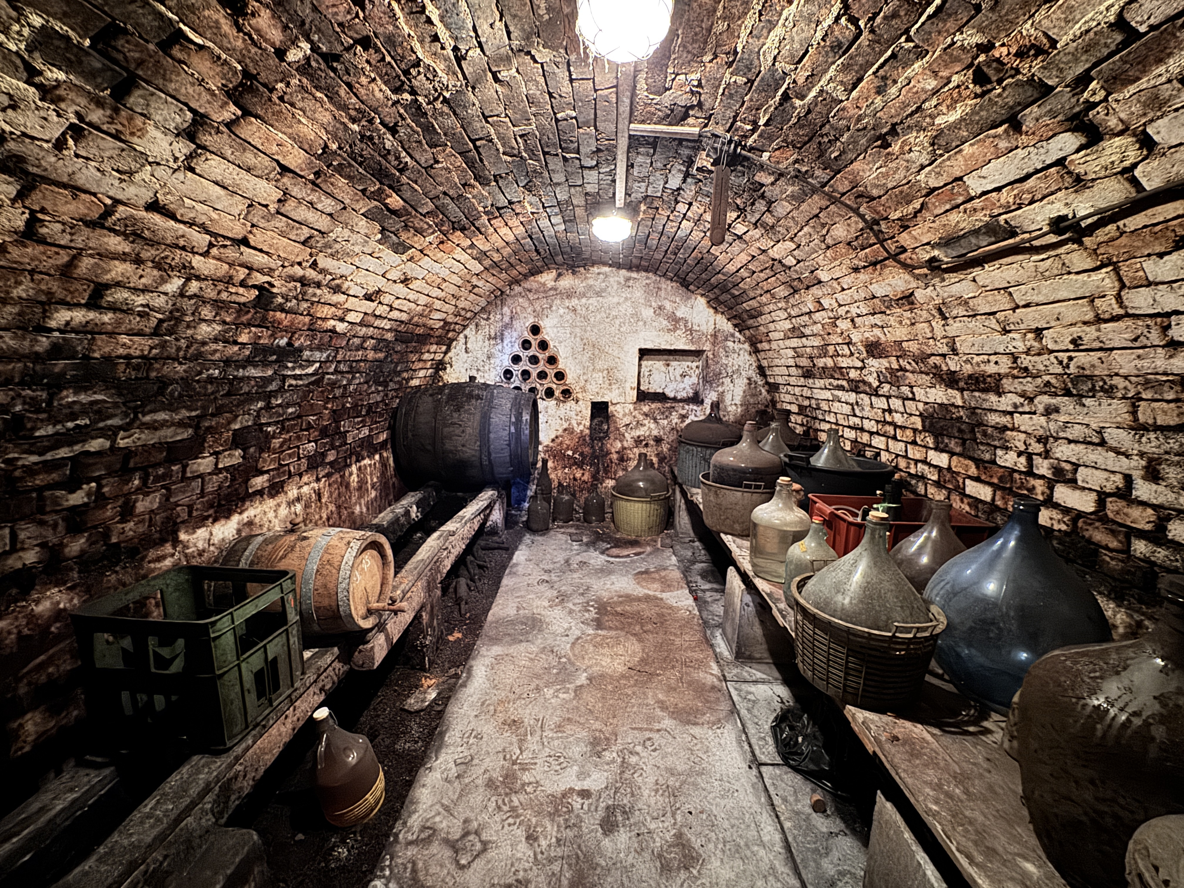 Pozemok s nádherným výhľadom na Skalicu – vinohrad s vínnym sklepom, presovňou, ovocnými stromami a možnosťou výstavby.