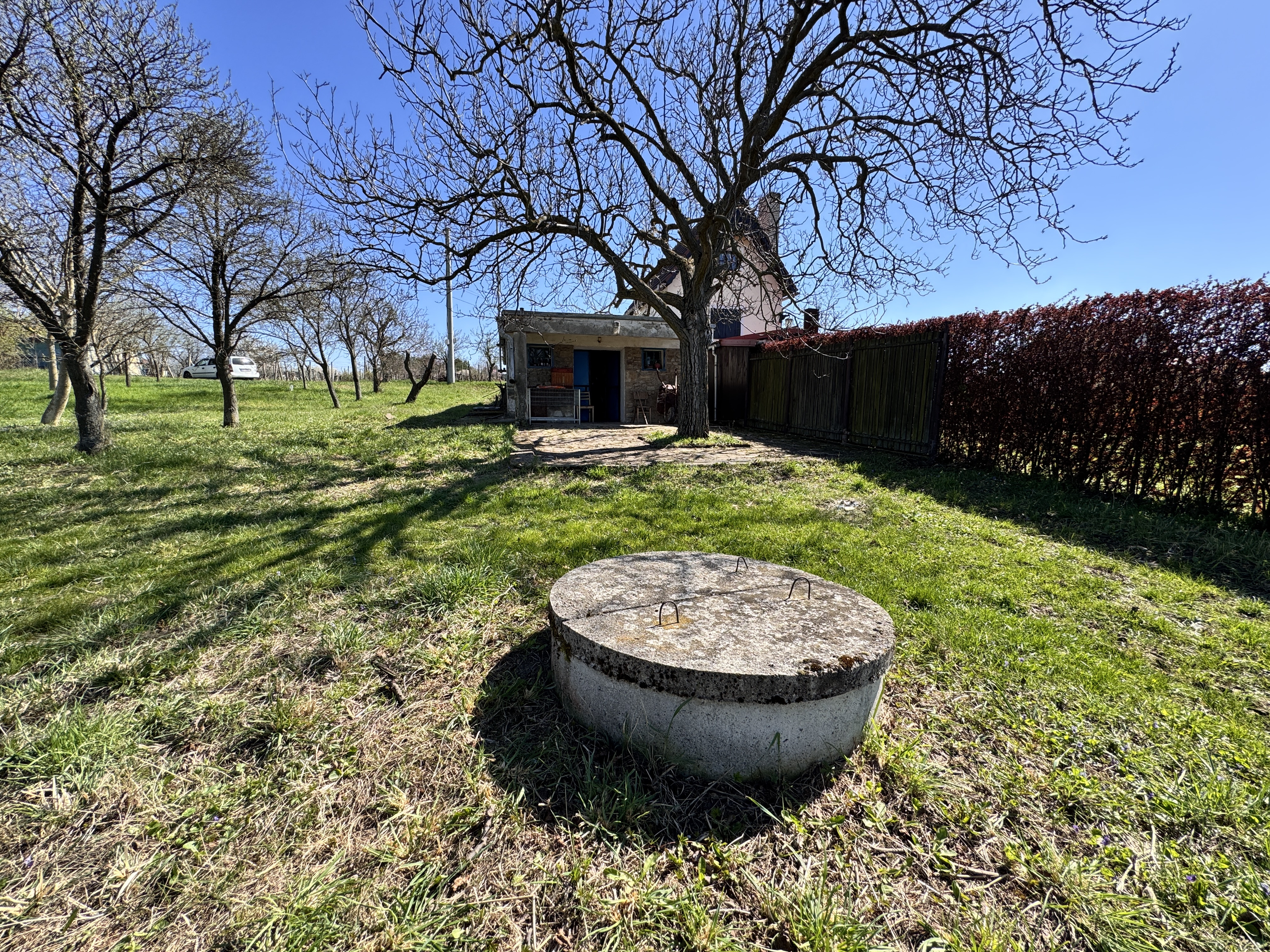 Pozemok s nádherným výhľadom na Skalicu – vinohrad s vínnym sklepom, presovňou, ovocnými stromami a možnosťou výstavby.