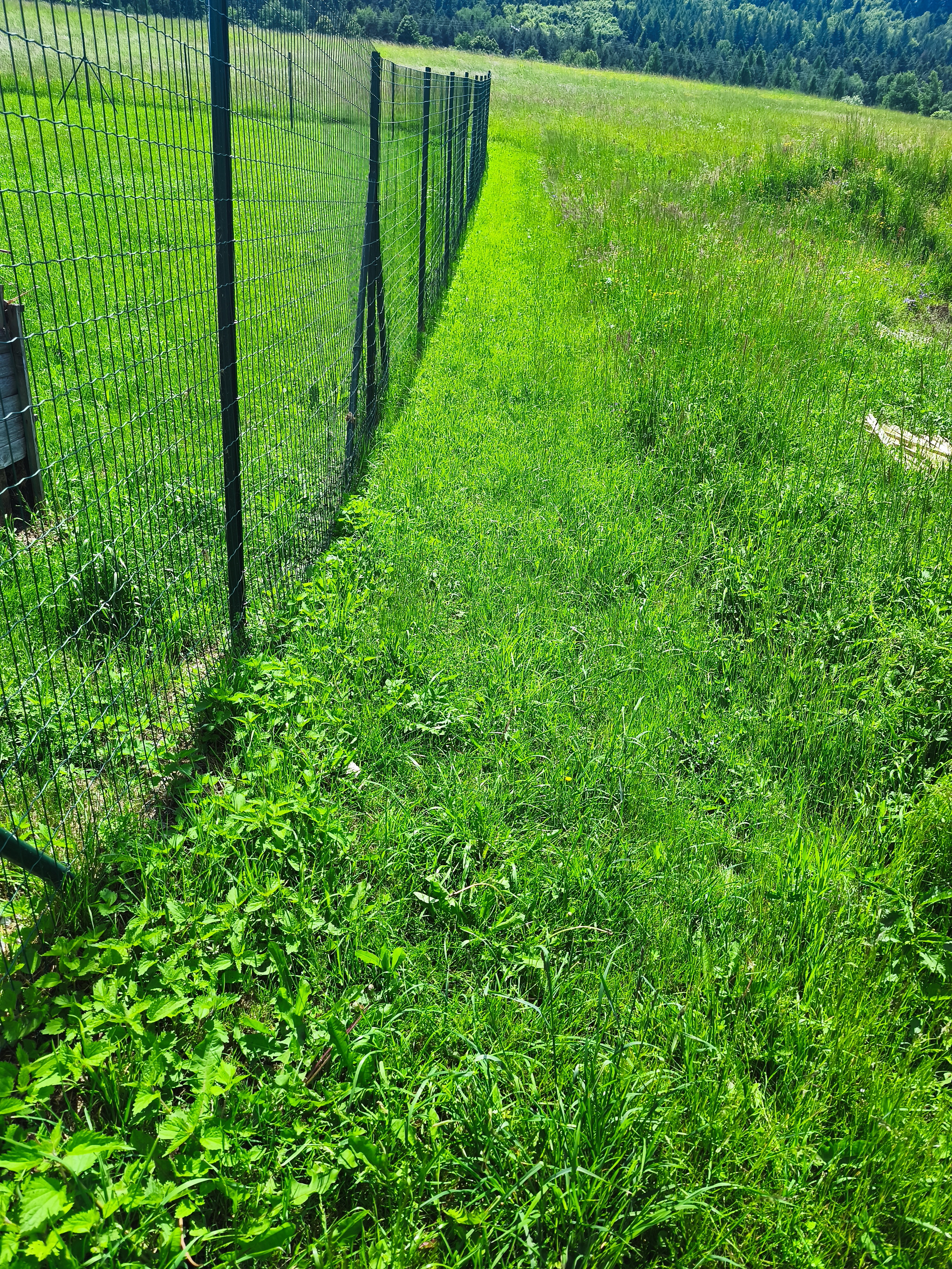 NA PREDAJ pozemok  (1.258m2) v meste Krompachy