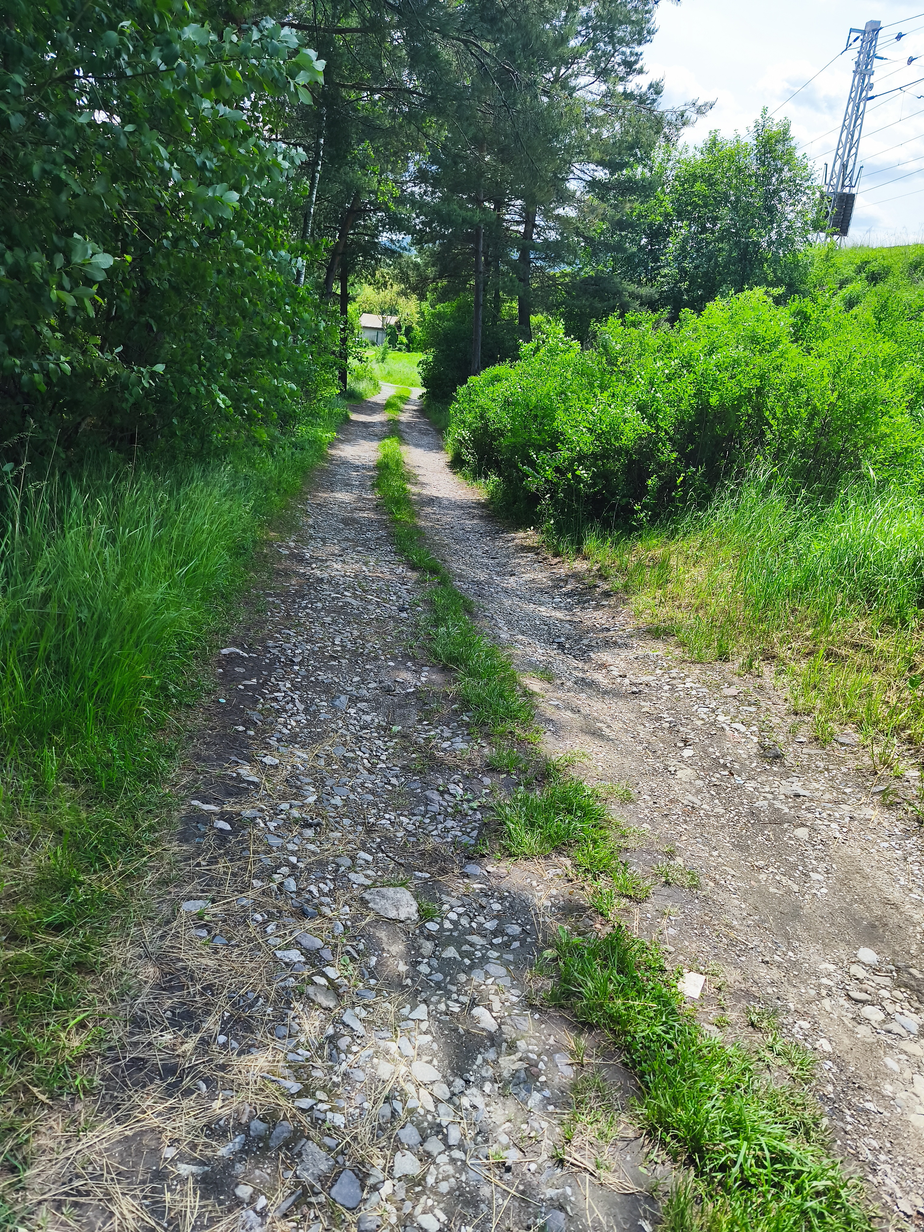 Záhradka na PREDAJ v meste Spišská Nová Ves