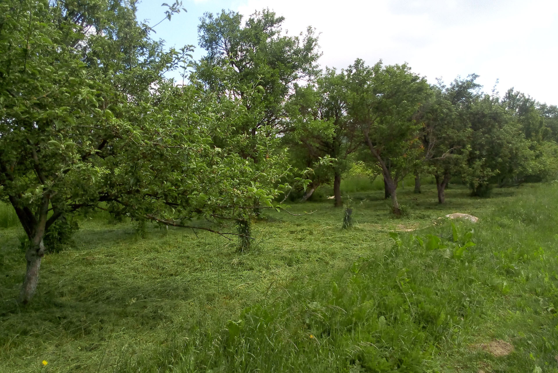 PREDAJ - Pozemok "C" 1711m² - Bošáca