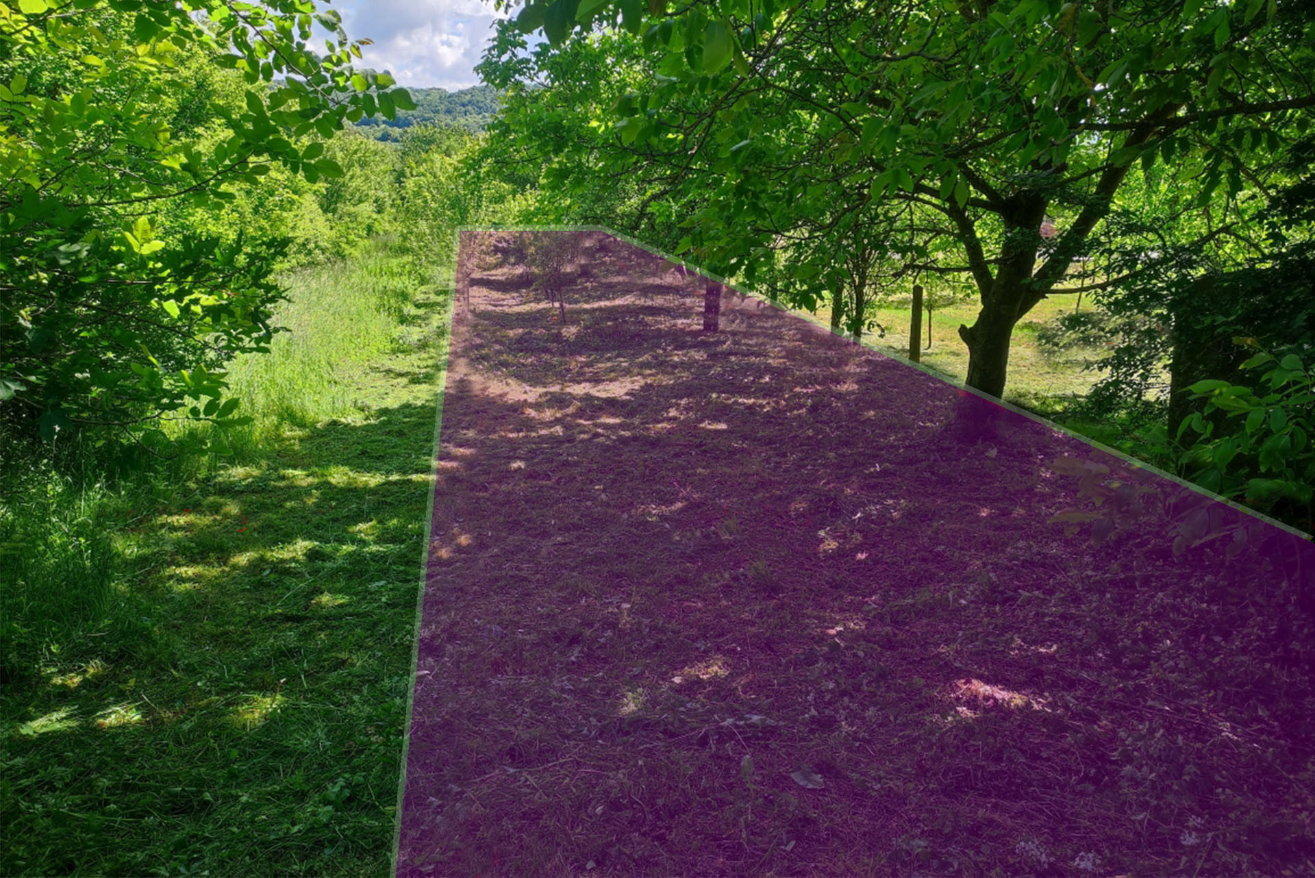 PREDAJ - Pozemok "C" 1711m² - Bošáca