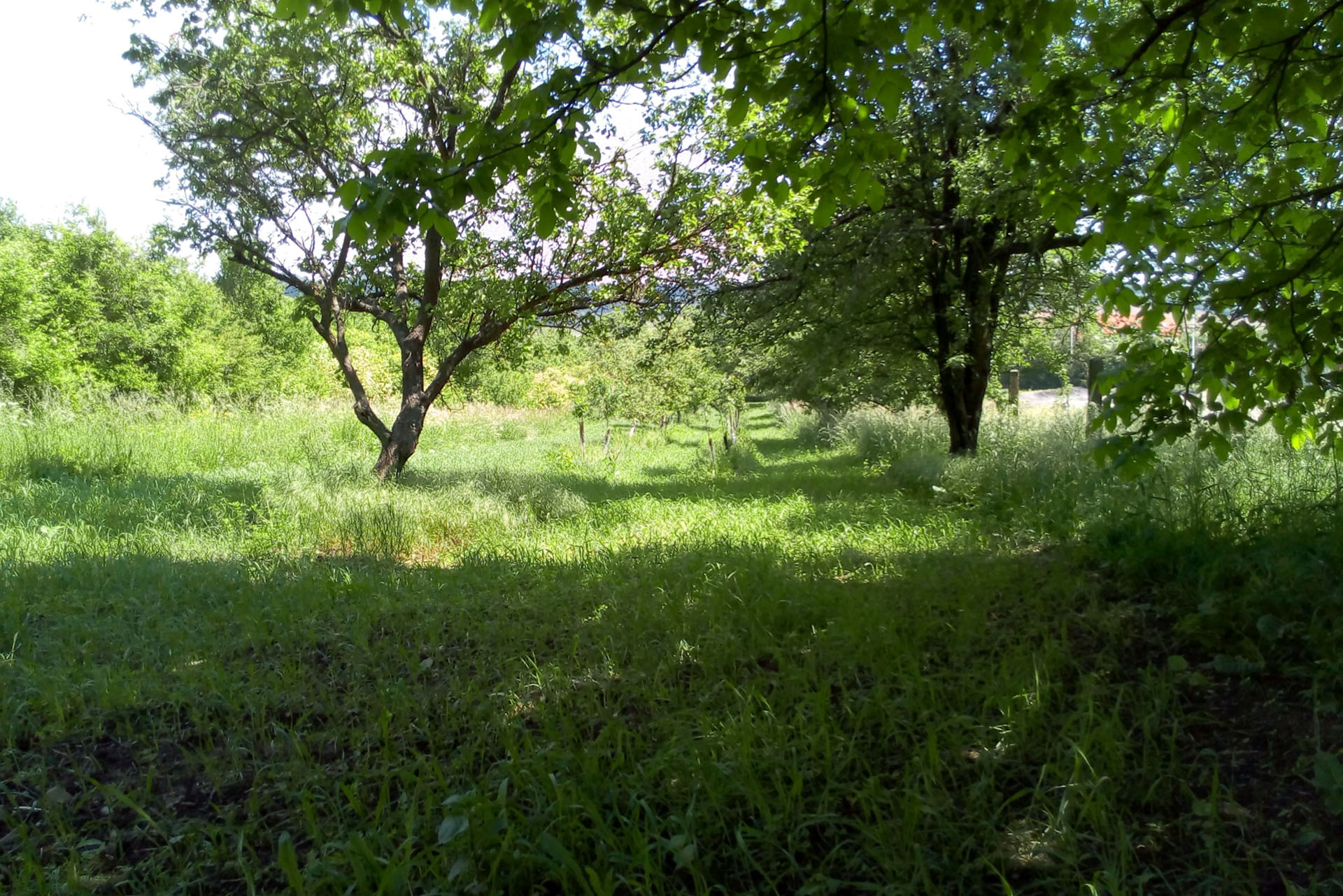 PREDAJ - Pozemok "C" 1711m² - Bošáca