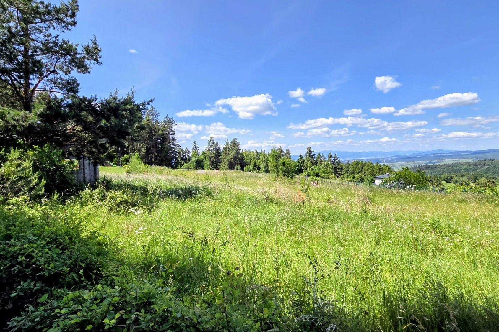 Pozemok NA PREDAJ v obci Uloža (okres Levoča) 1000m2