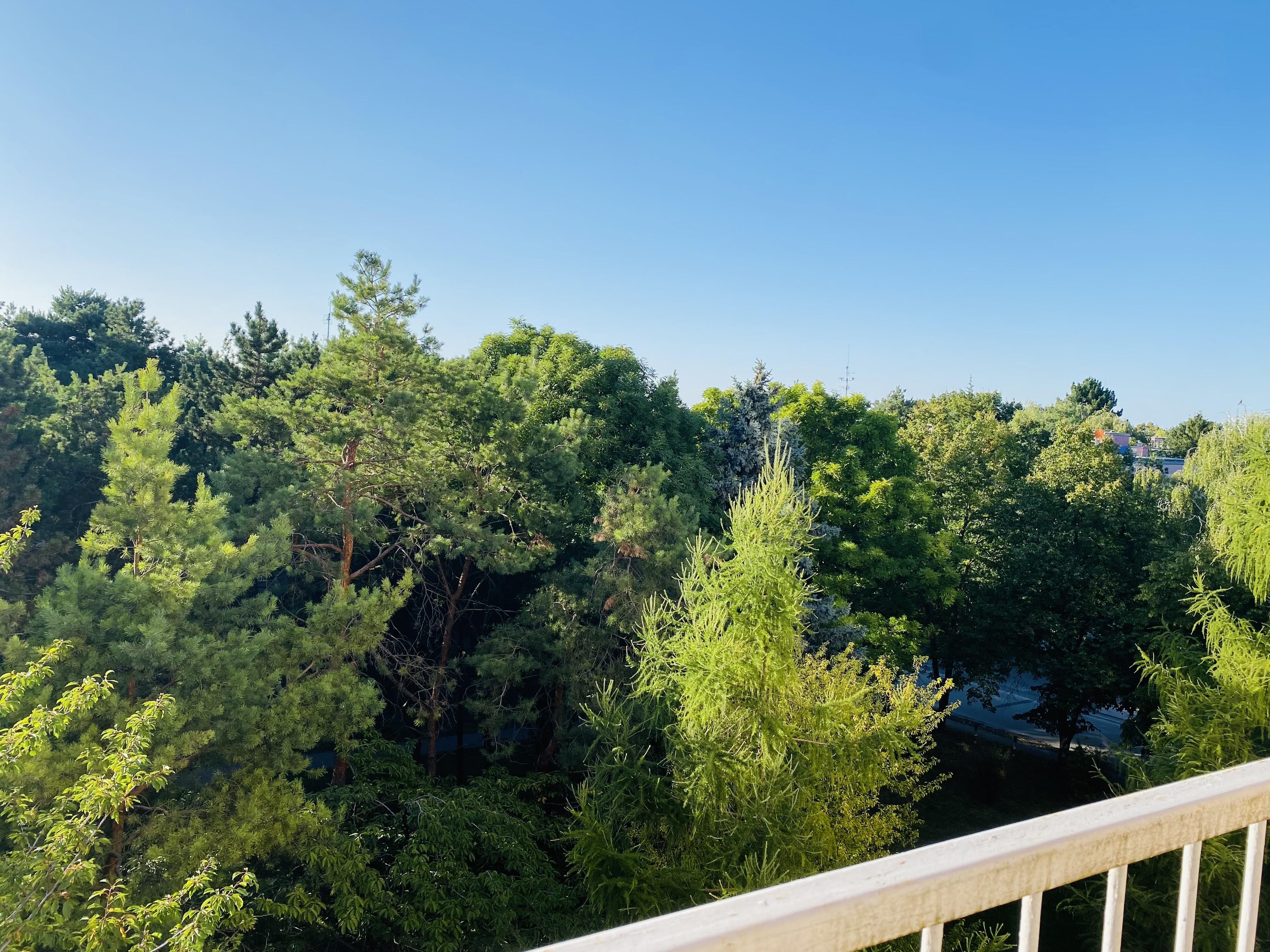 Na prenájom zrekonštruovaný 3-izbový byt v Dunajskej Strede