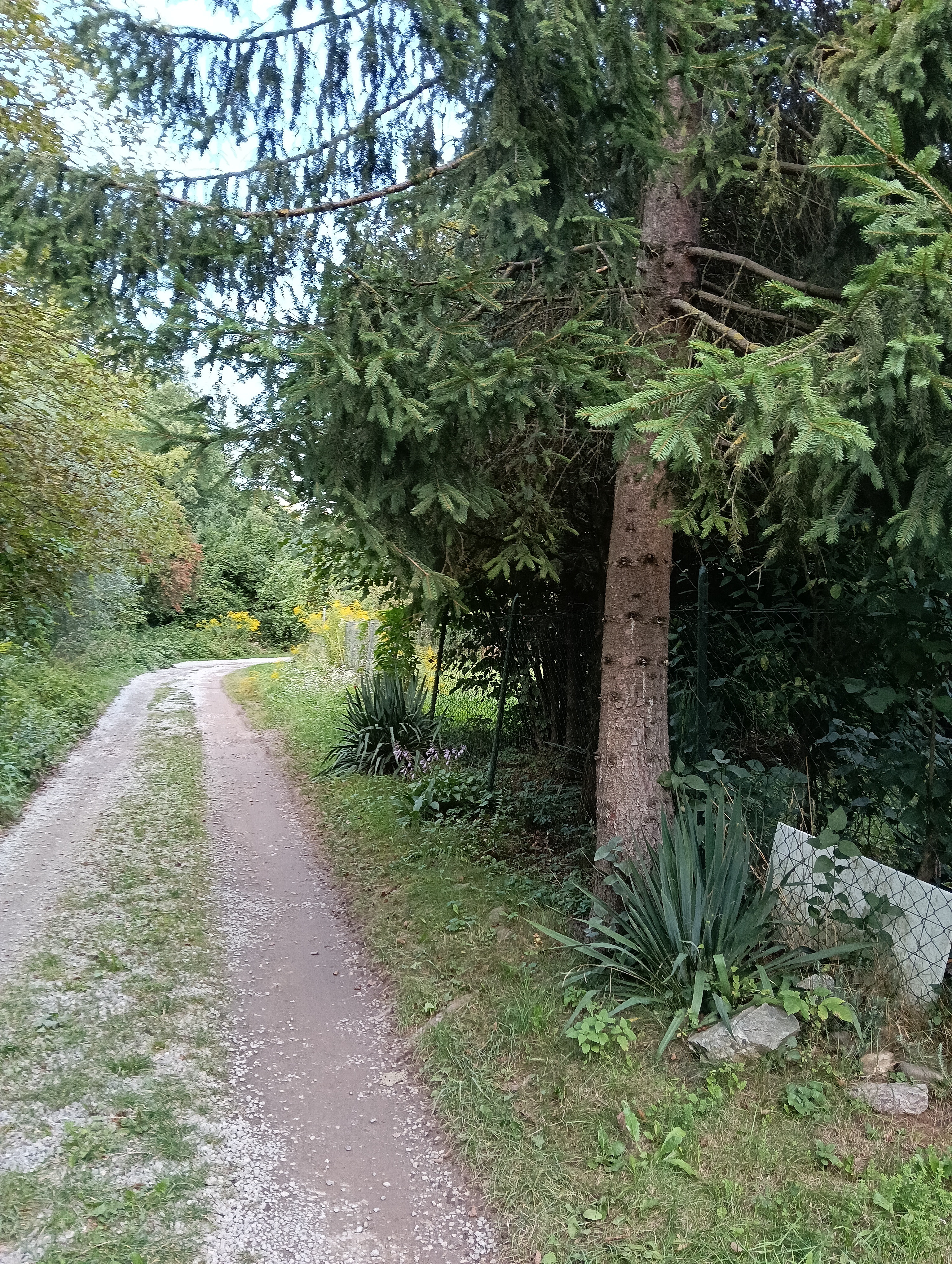 PREDAJ záhrady za Ťahanovským tunelom s chatkou