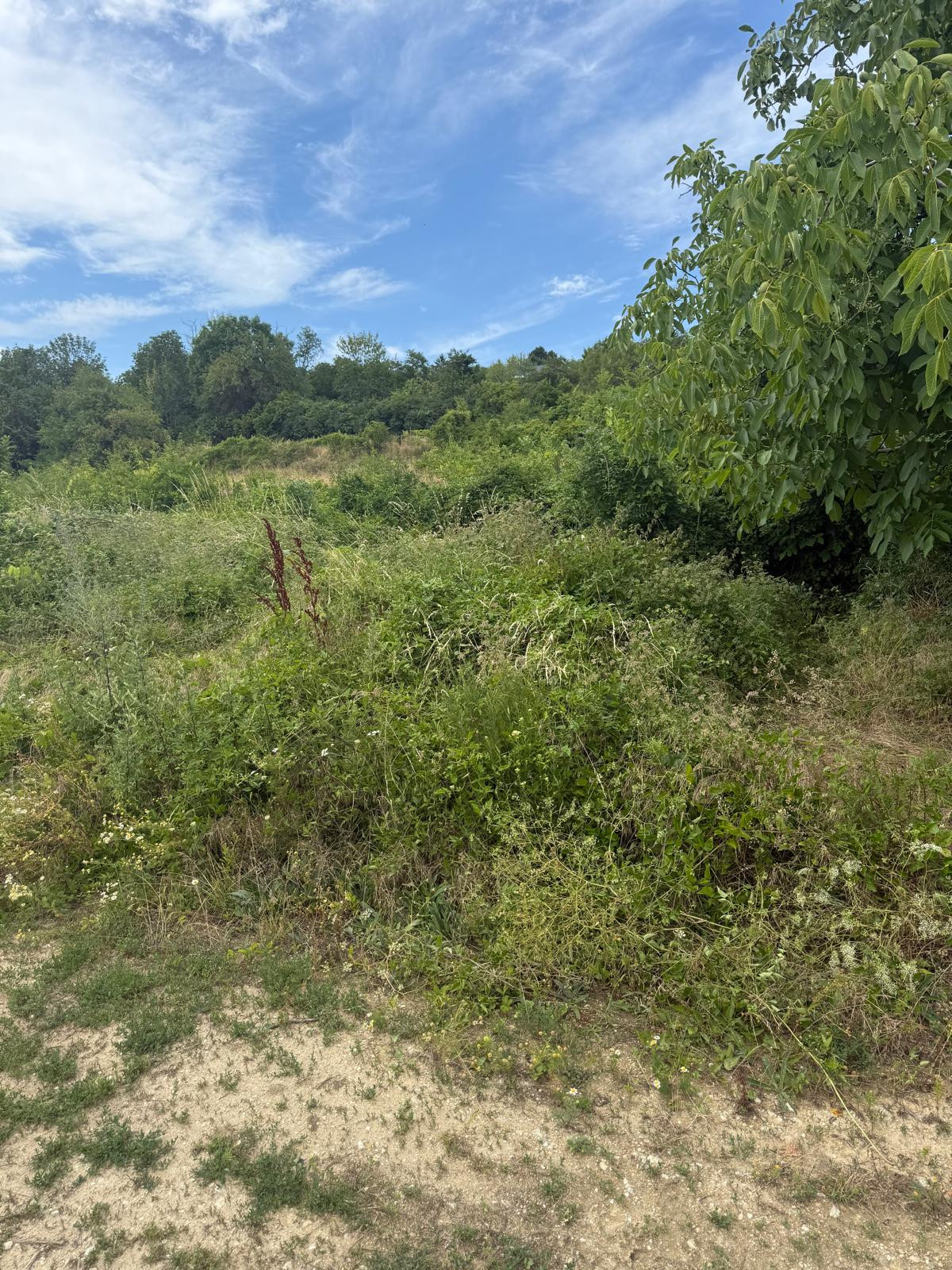 Na predaj exkluzívny stavebný pozemok na Kolibe