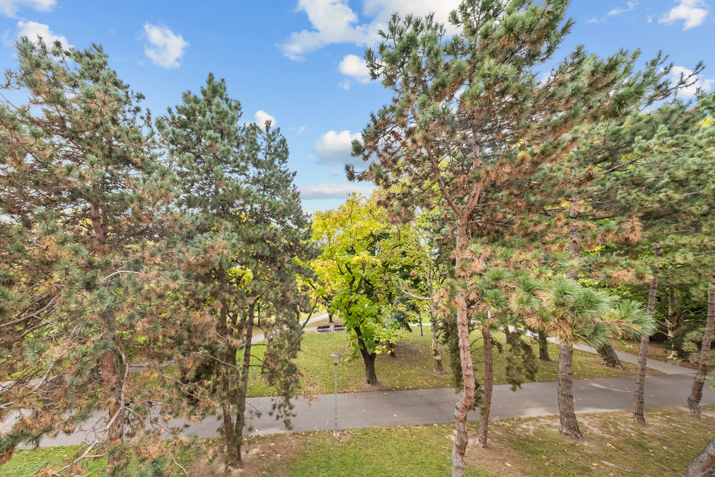 Na predaj 5-izbový byt s výmerou 114 m² v tichej a zelenej časti Ružinova – Ostredky na ulici Planét