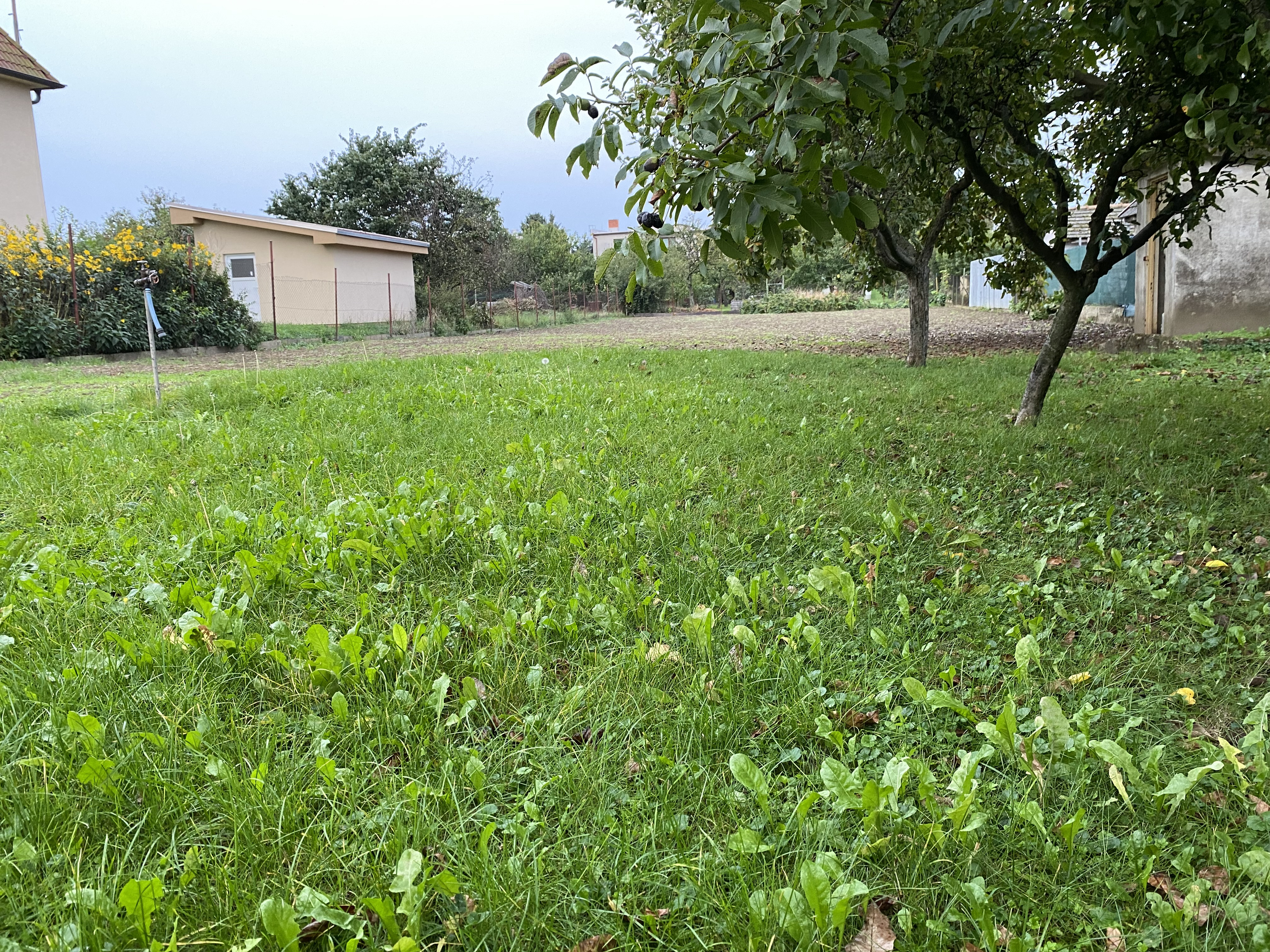 STAVEBNÝ POZEMOK - 1 202 m², Kráľová nad Váhom