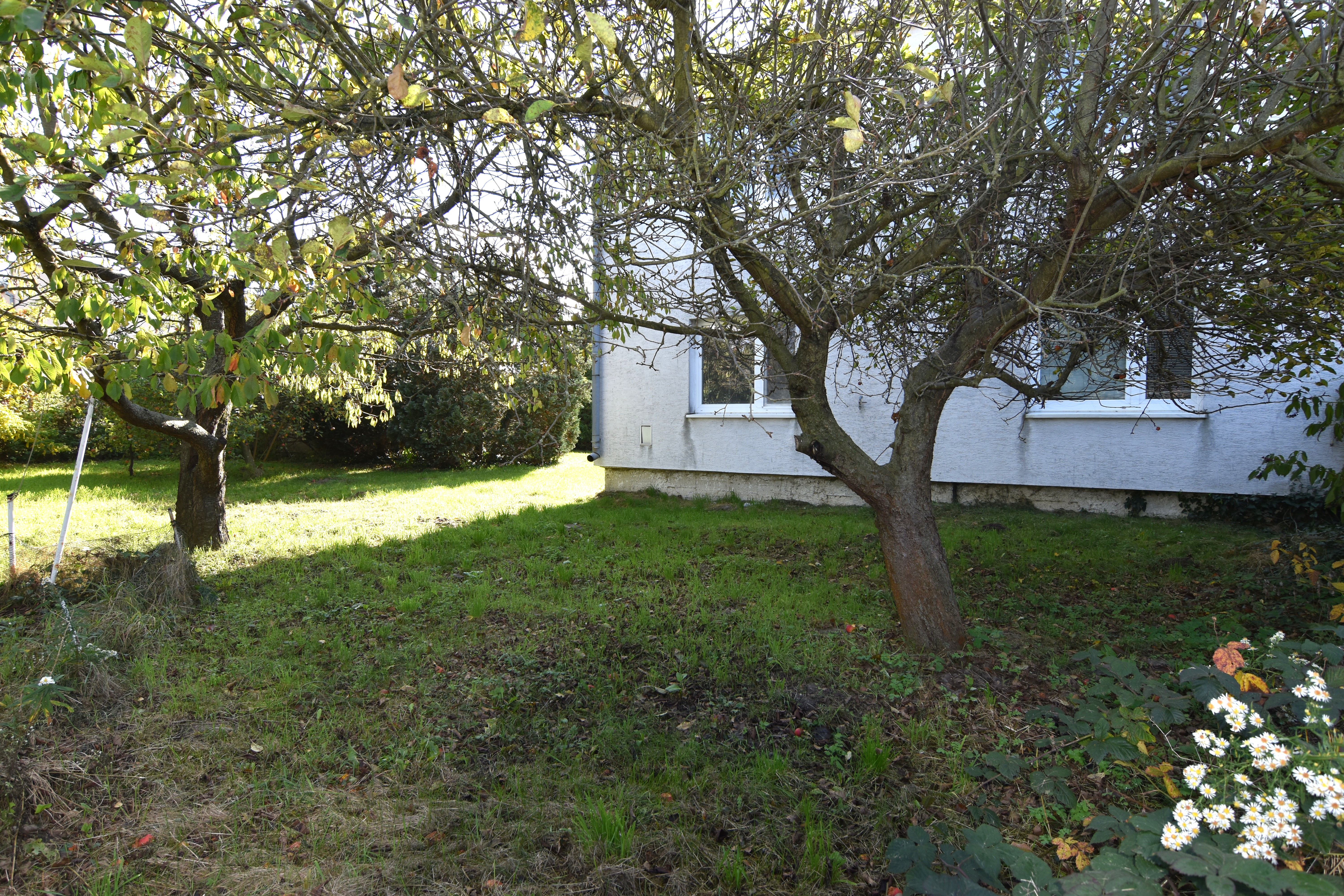 Na predaj rodinný dom Malé Leváre