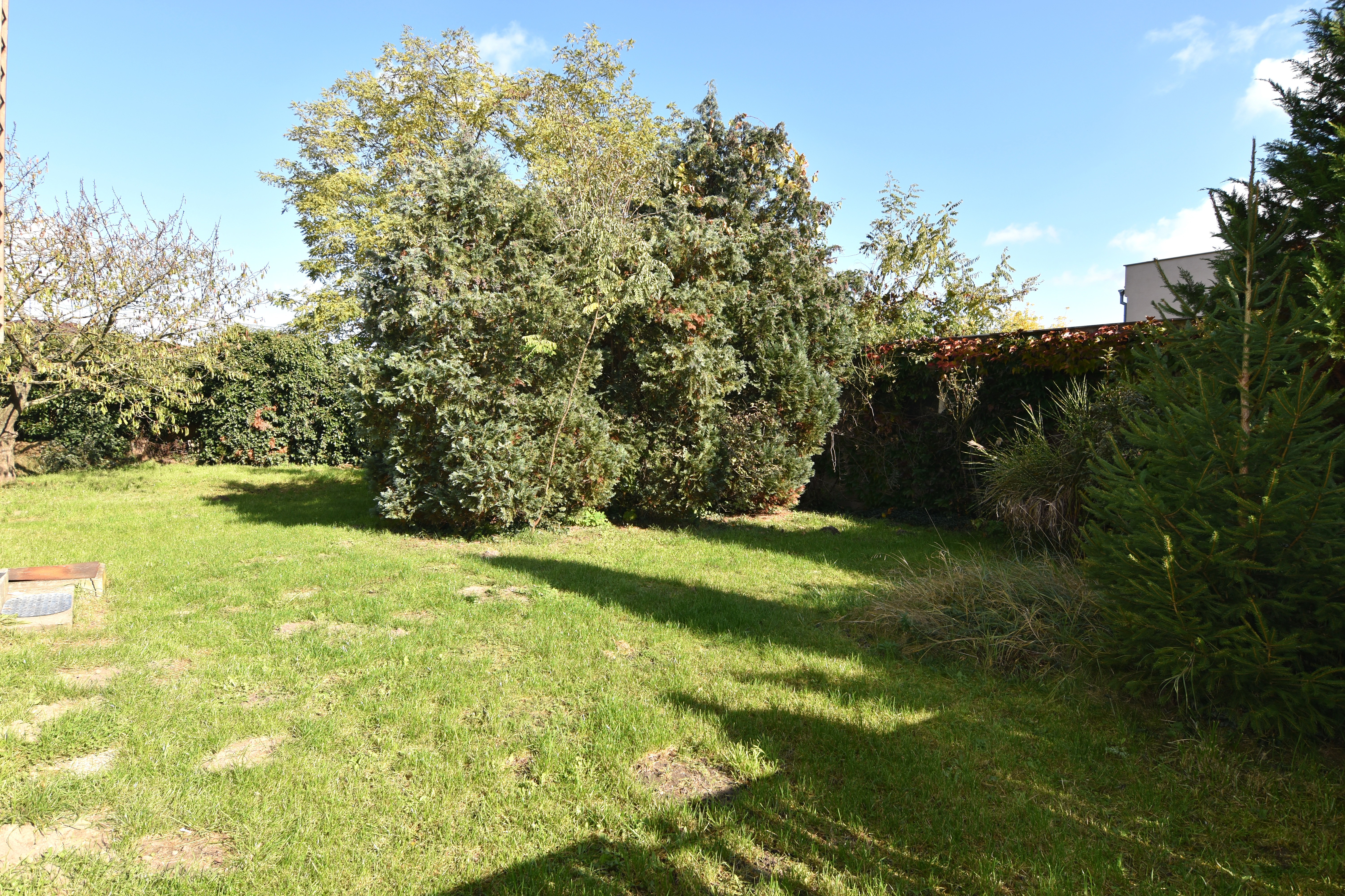 Na predaj rodinný dom Malé Leváre