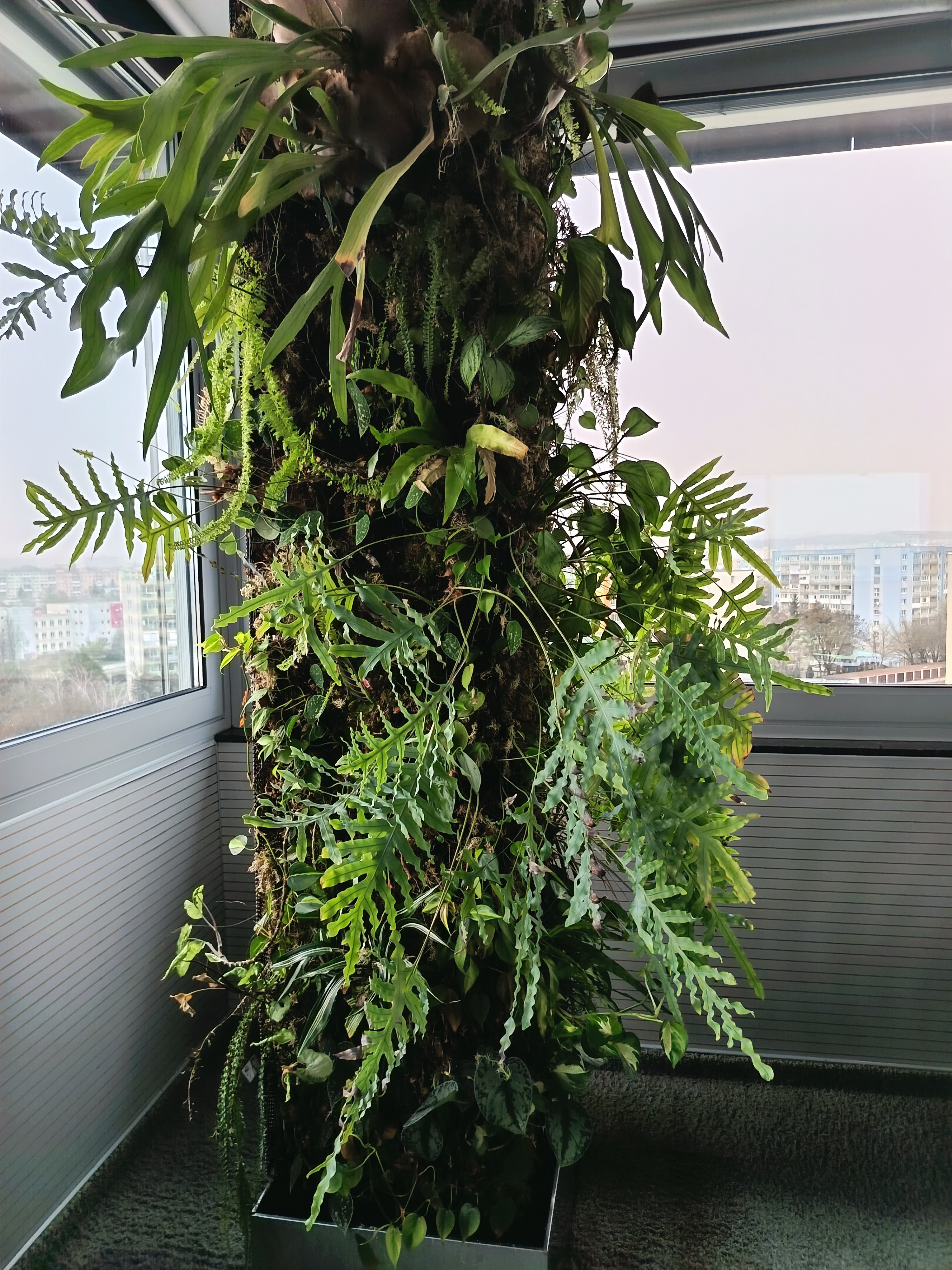 Ikonické Sídlo na prenájom pre Lídrov na 10. Poschodí