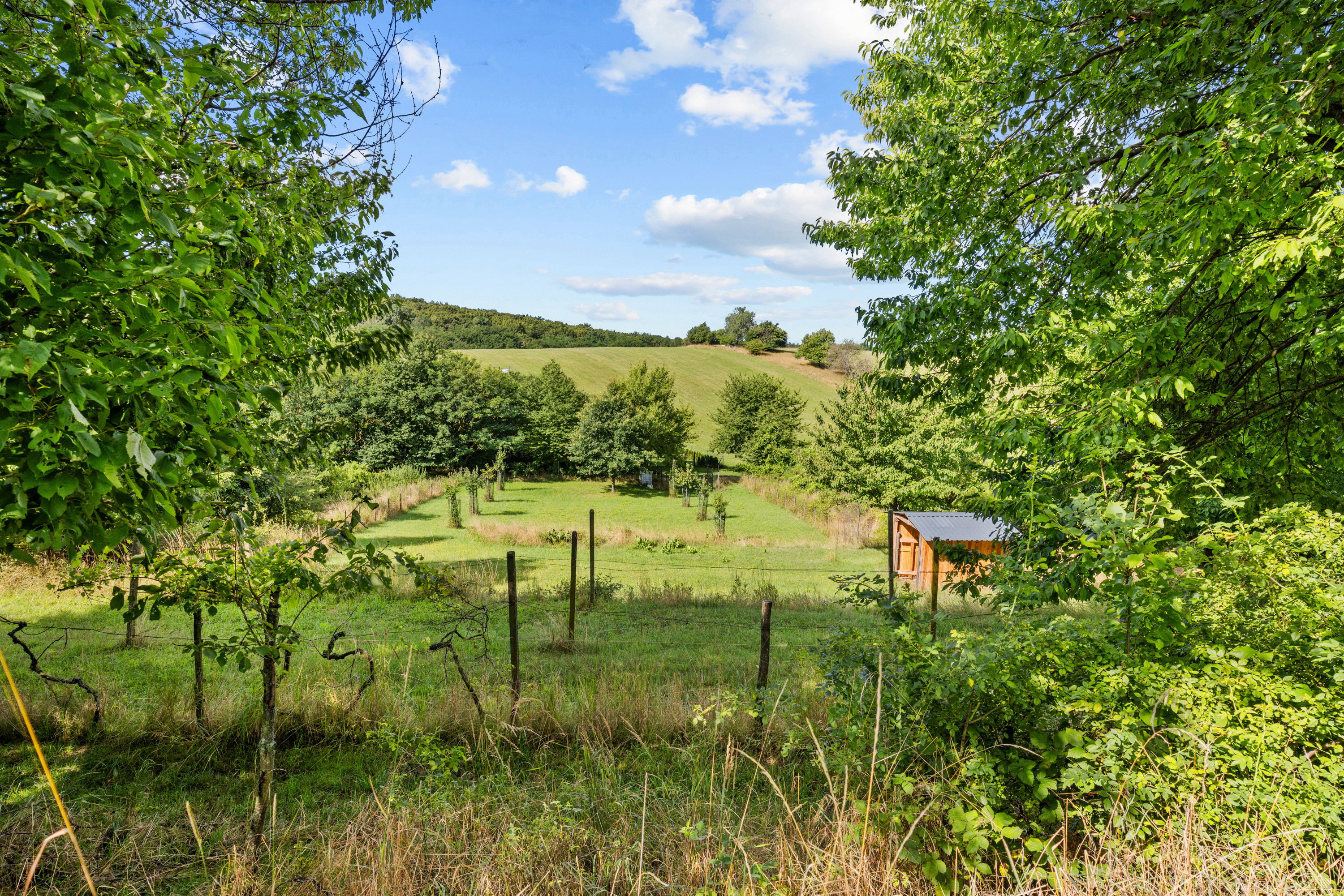 Na prenájom výnimočný vinohrad v Lozorne