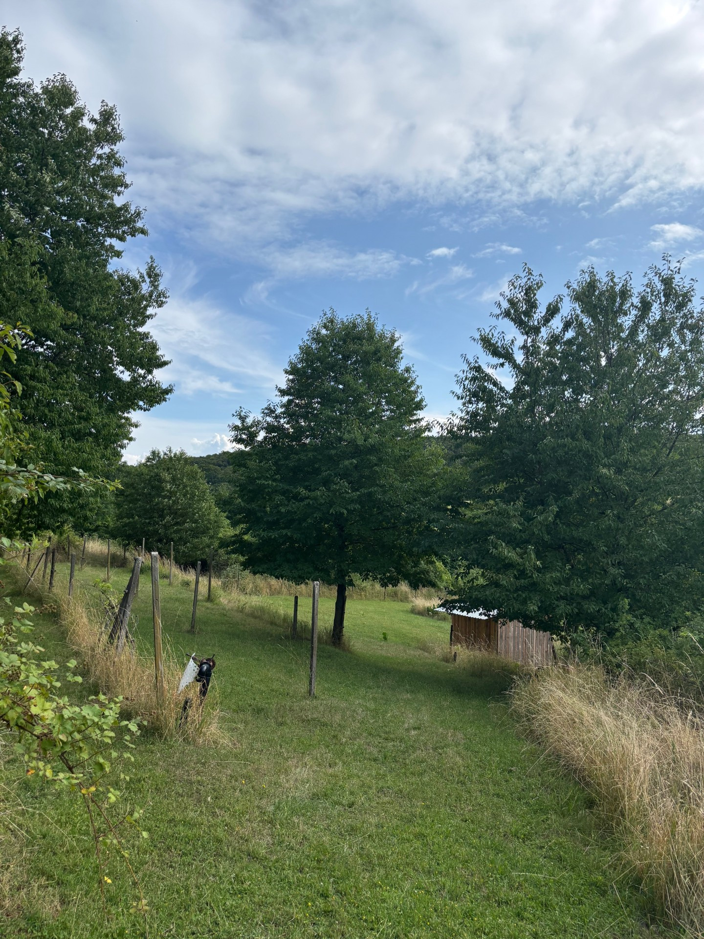 Na prenájom výnimočný vinohrad v Lozorne