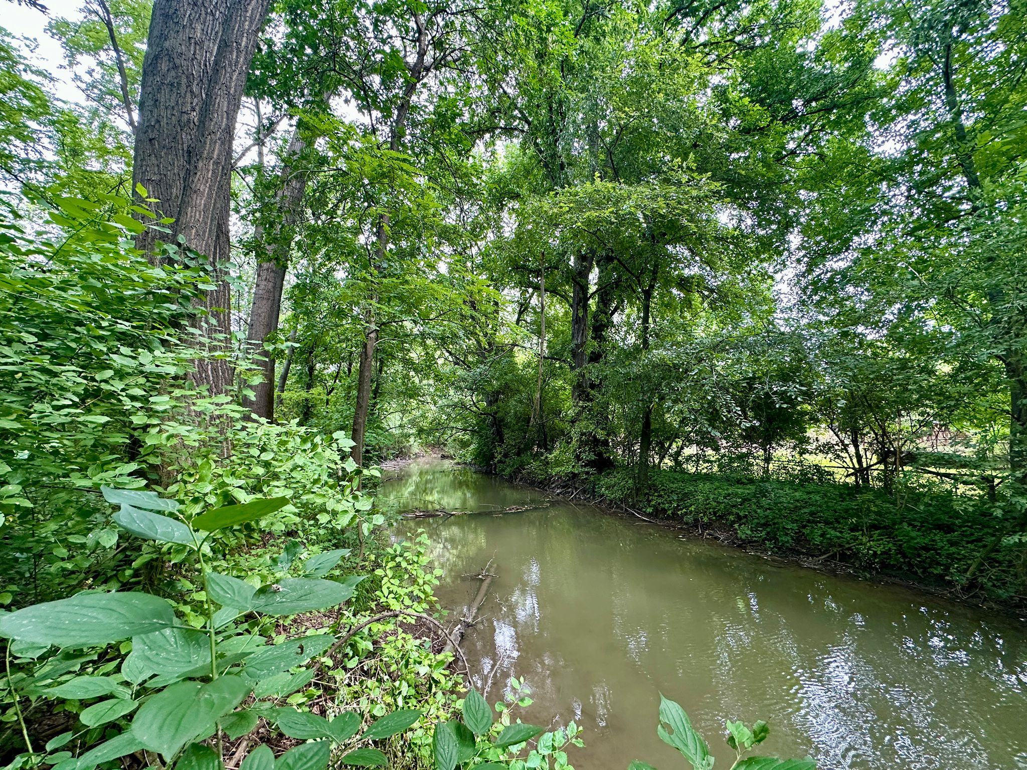 Pozemok pri potoku s atmosférou prírody – Tureň
