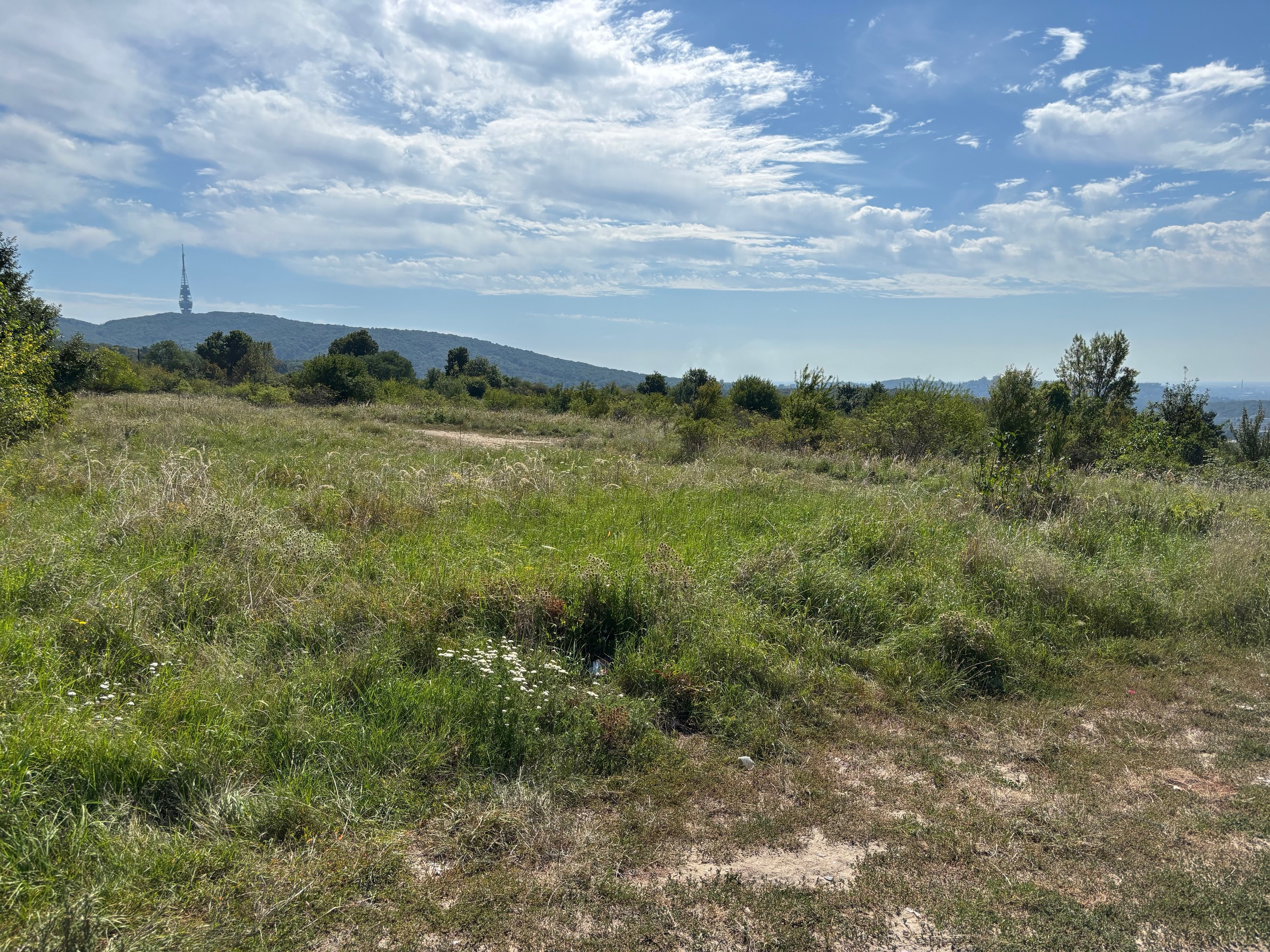 Na predaj pozemok v Lamači, Pod Zečákom