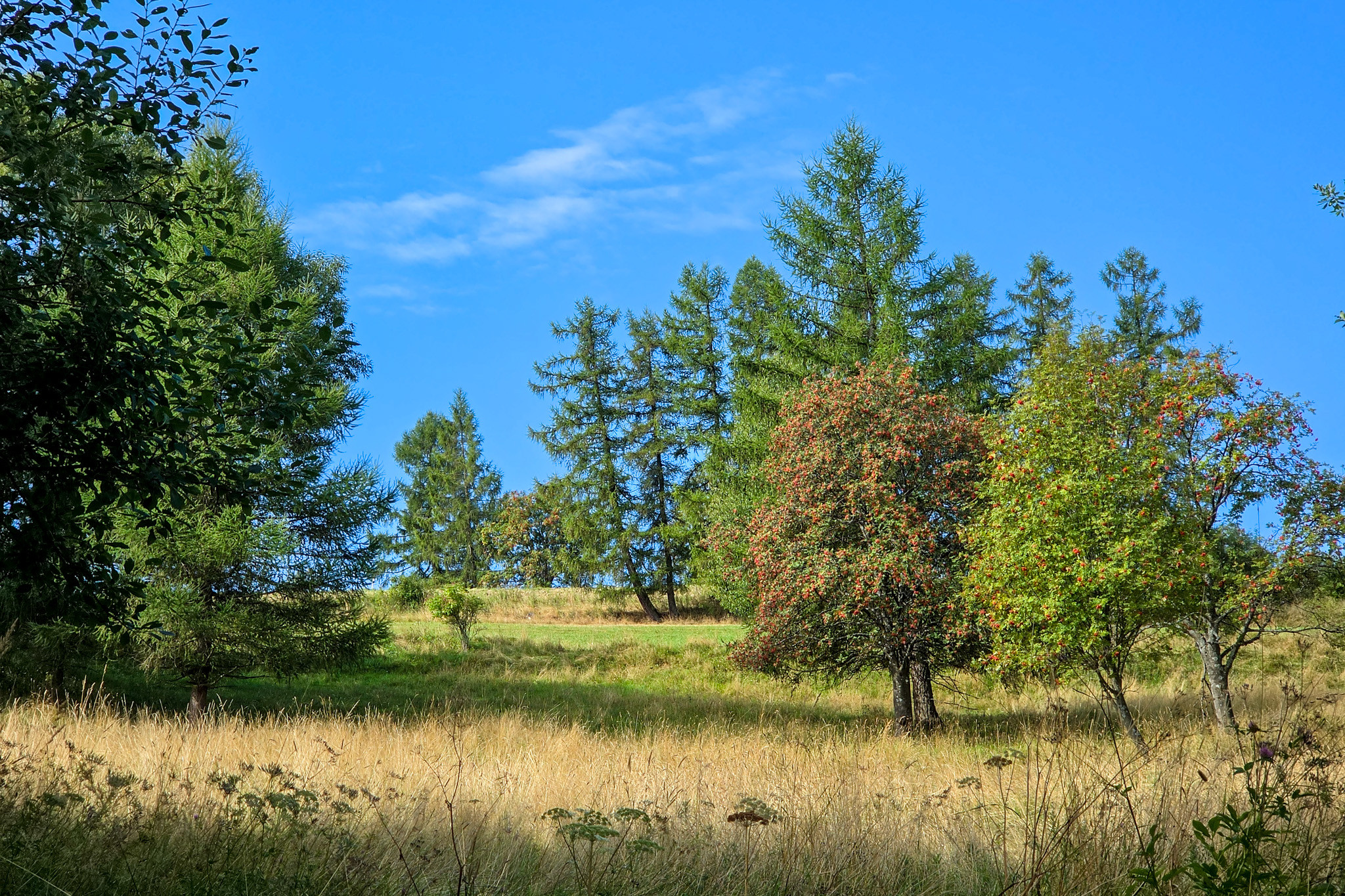 BRUTOVCE - pozemok (3.254m2) NA PREDAJ