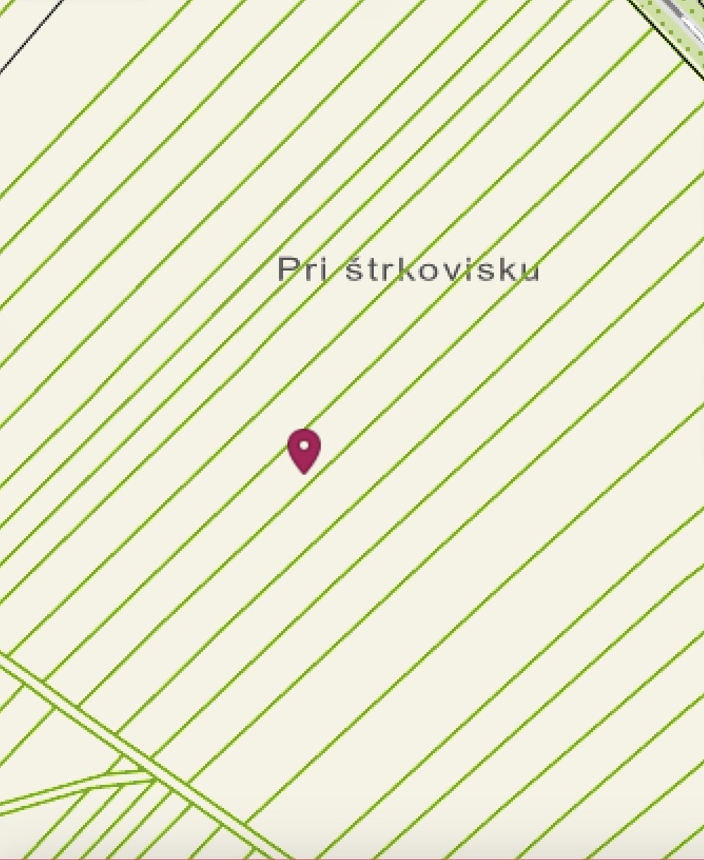 Investičná príležitosť v Dunajskej Ložnej - poľnohospodárska pôda v k.ú. Nové Košariská.