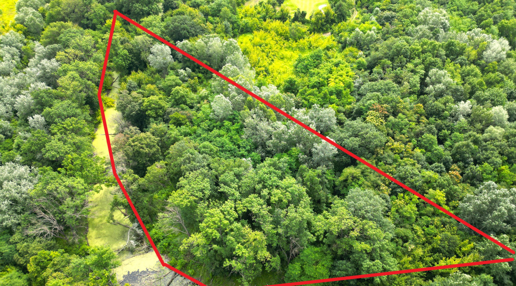 Pozemok 6029 m² – rekreačné využitie pri Bernolákove