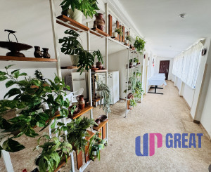 Na predaj priestranný 7-izbový rodinný dom v Gbeloch, okres Skalica.