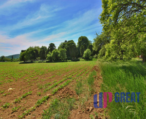 NA PREDAJ pozemok v Bošáci, možná budúca výstavba