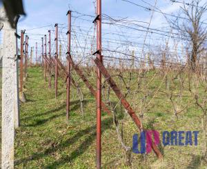 PREDAJ pozemku v Kálnici, k.ú. Beckov