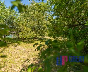 PREDAJ - pozemok vhodný na výstavbu - Klobušice, Ilava