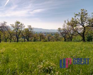PREDAJ - pozemok (záhrada, ovocný sad), Nové Mesto nad Váhom