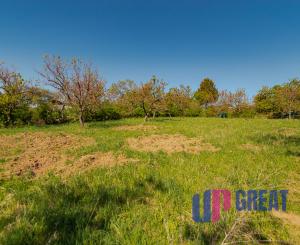 PREDAJ - pozemok (záhrada, ovocný sad), Nové Mesto nad Váhom