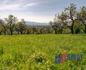 PREDAJ - pozemok (záhrada, ovocný sad), Nové Mesto nad Váhom