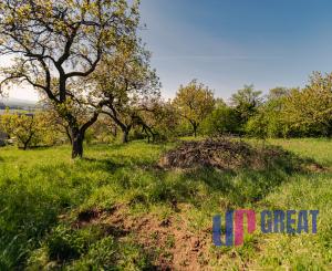 PREDAJ - pozemok (záhrada, ovocný sad), Nové Mesto nad Váhom