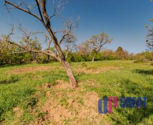 PREDAJ - pozemok (záhrada, ovocný sad), Nové Mesto nad Váhom
