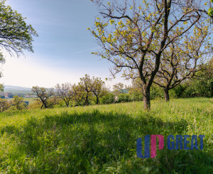 PREDAJ - pozemok (záhrada, ovocný sad), Nové Mesto nad Váhom