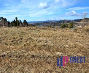 Pozemok NA PREDAJ v obci Uloža (okres Levoča) 1000m2