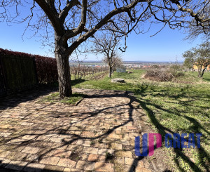 Pozemok s nádherným výhľadom na Skalicu – vinohrad s vínnym sklepom, presovňou, ovocnými stromami a možnosťou výstavby.